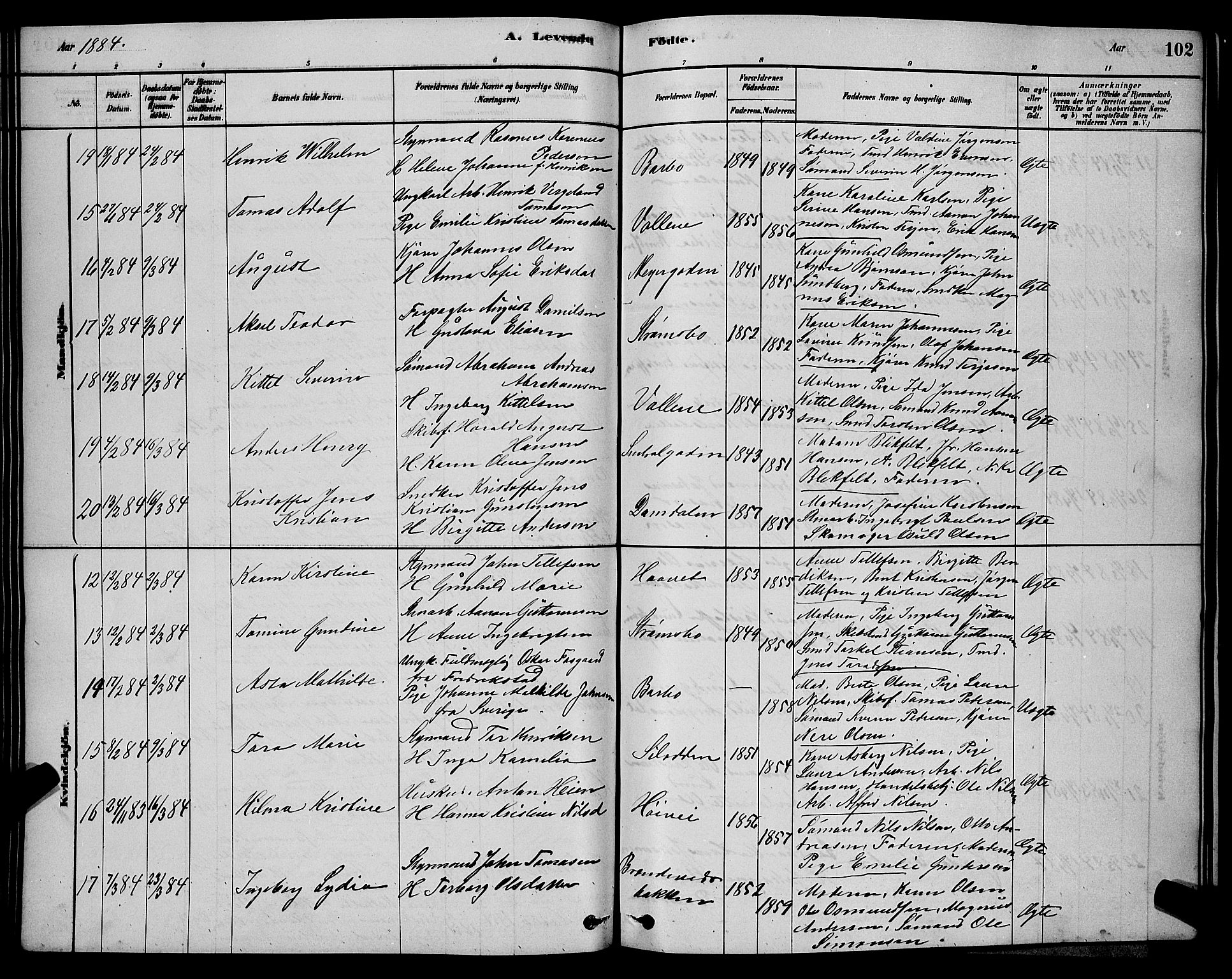 Barbu sokneprestkontor, AV/SAK-1111-0003/F/Fb/L0001: Parish register (copy) no. B 1, 1878-1890, p. 102