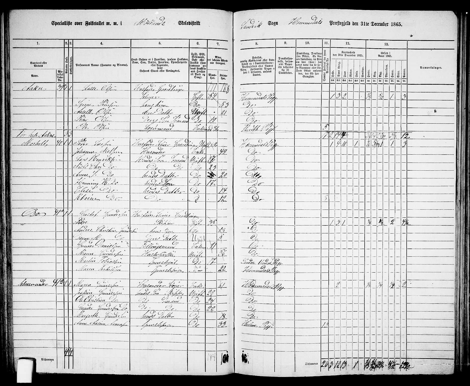 RA, 1865 census for Homedal, 1865, p. 70