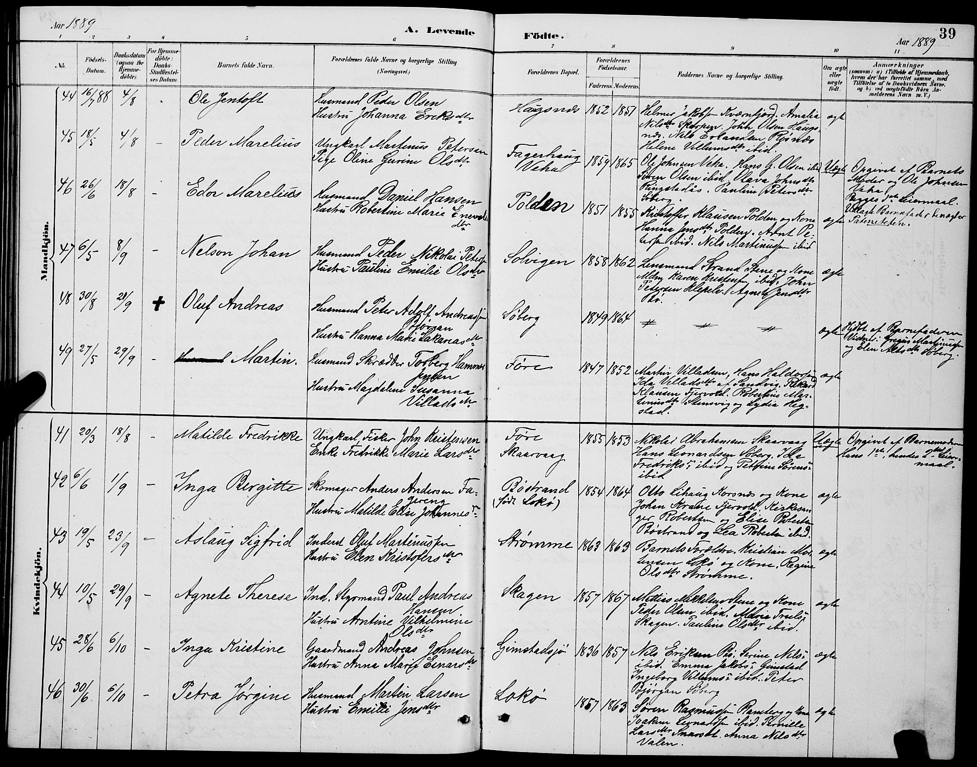 Ministerialprotokoller, klokkerbøker og fødselsregistre - Nordland, AV/SAT-A-1459/891/L1315: Parish register (copy) no. 891C04, 1886-1893, p. 39