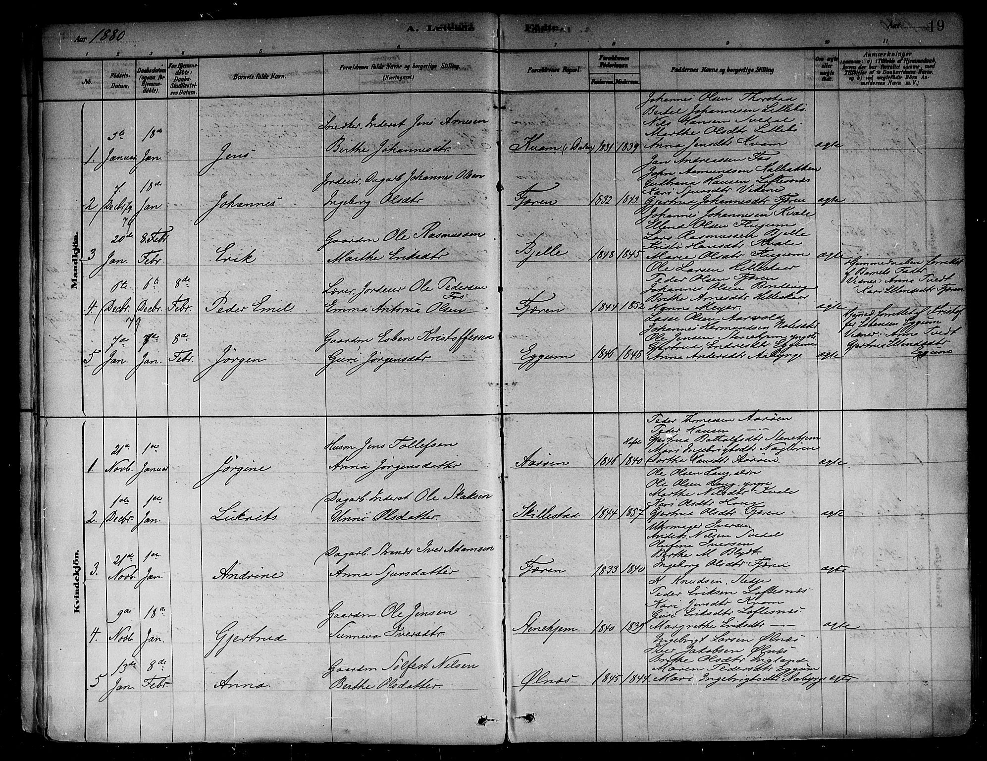 Sogndal sokneprestembete, AV/SAB-A-81301/H/Haa/Haab/L0001: Parish register (official) no. B 1, 1878-1899, p. 19