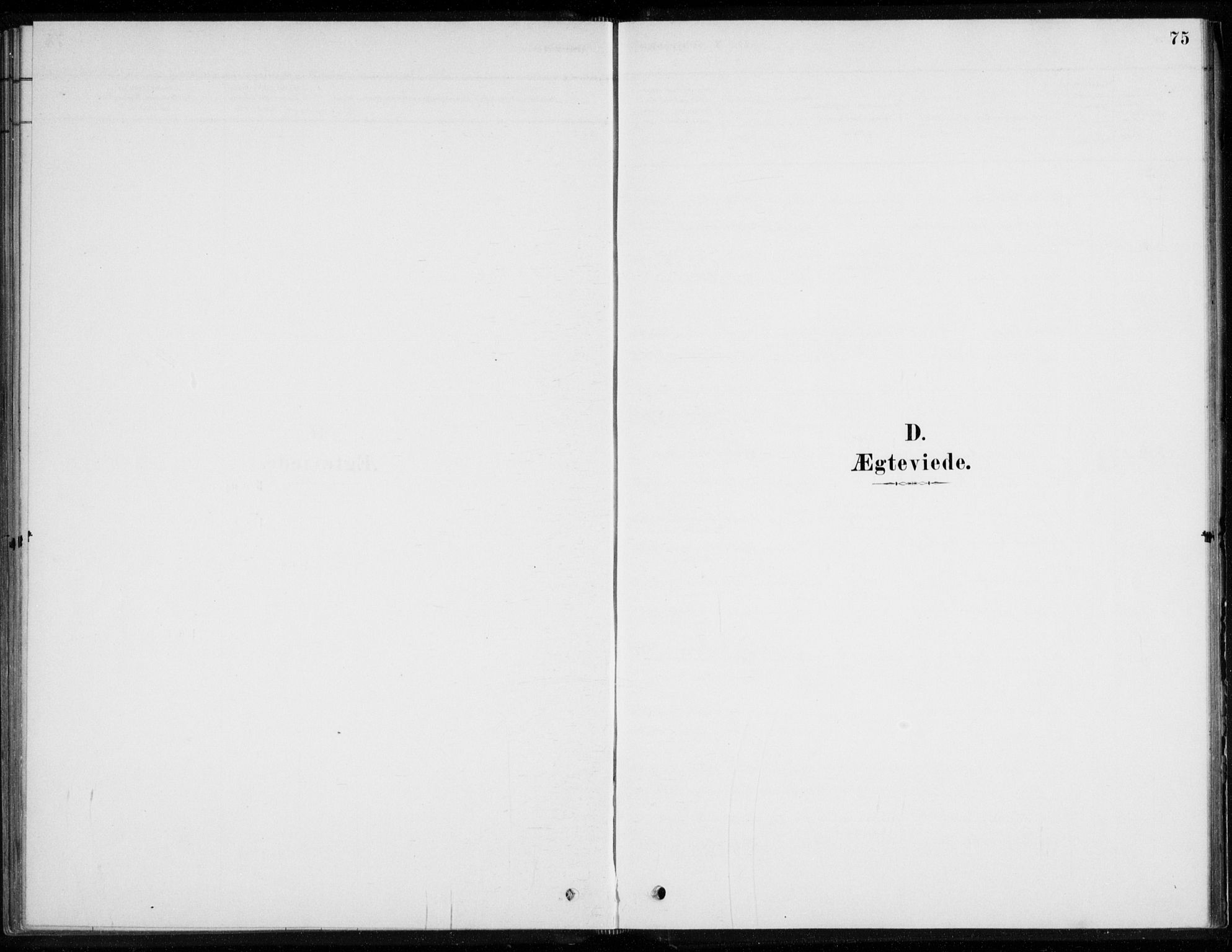 Åssiden kirkebøker, SAKO/A-251/F/Fa/L0001: Parish register (official) no. 1, 1878-1904, p. 75