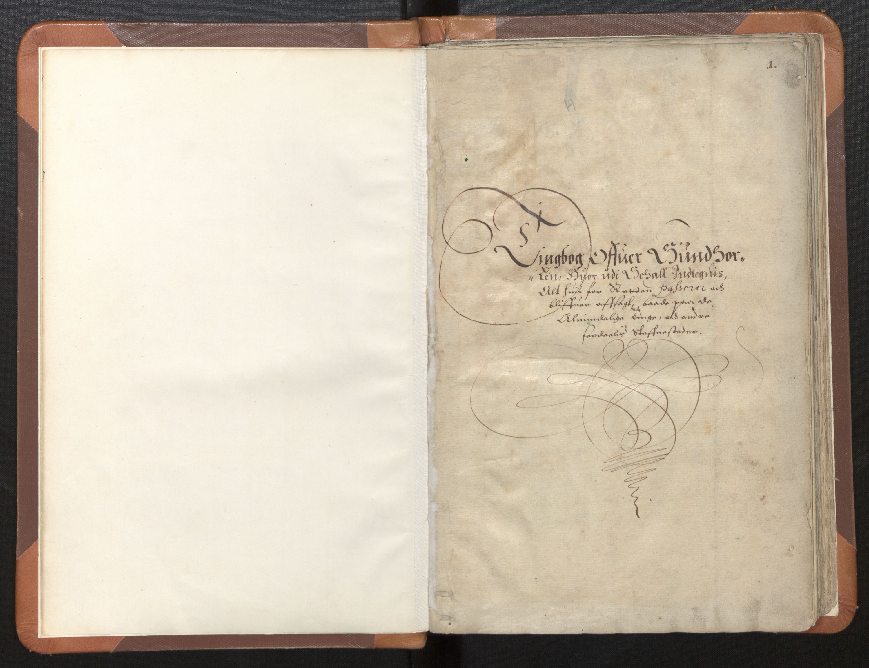 Sunnhordland sorenskrivar, SAB/A-2401/1/F/Faa/L0001: Tingbøker, 1648-1649, p. 1a