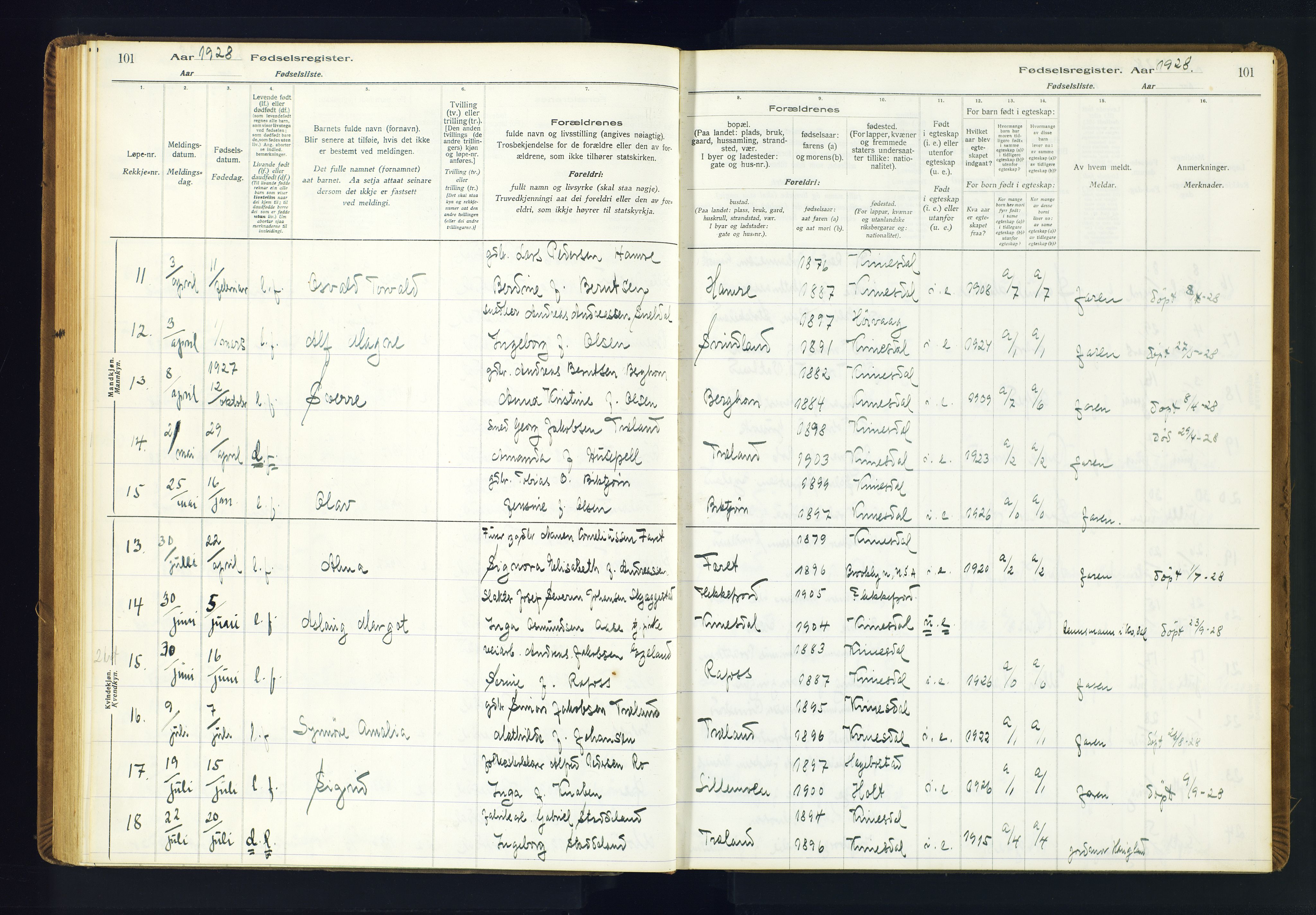 Kvinesdal sokneprestkontor, AV/SAK-1111-0026/J/Ja/L0001: Birth register no. 1, 1916-1941, p. 101