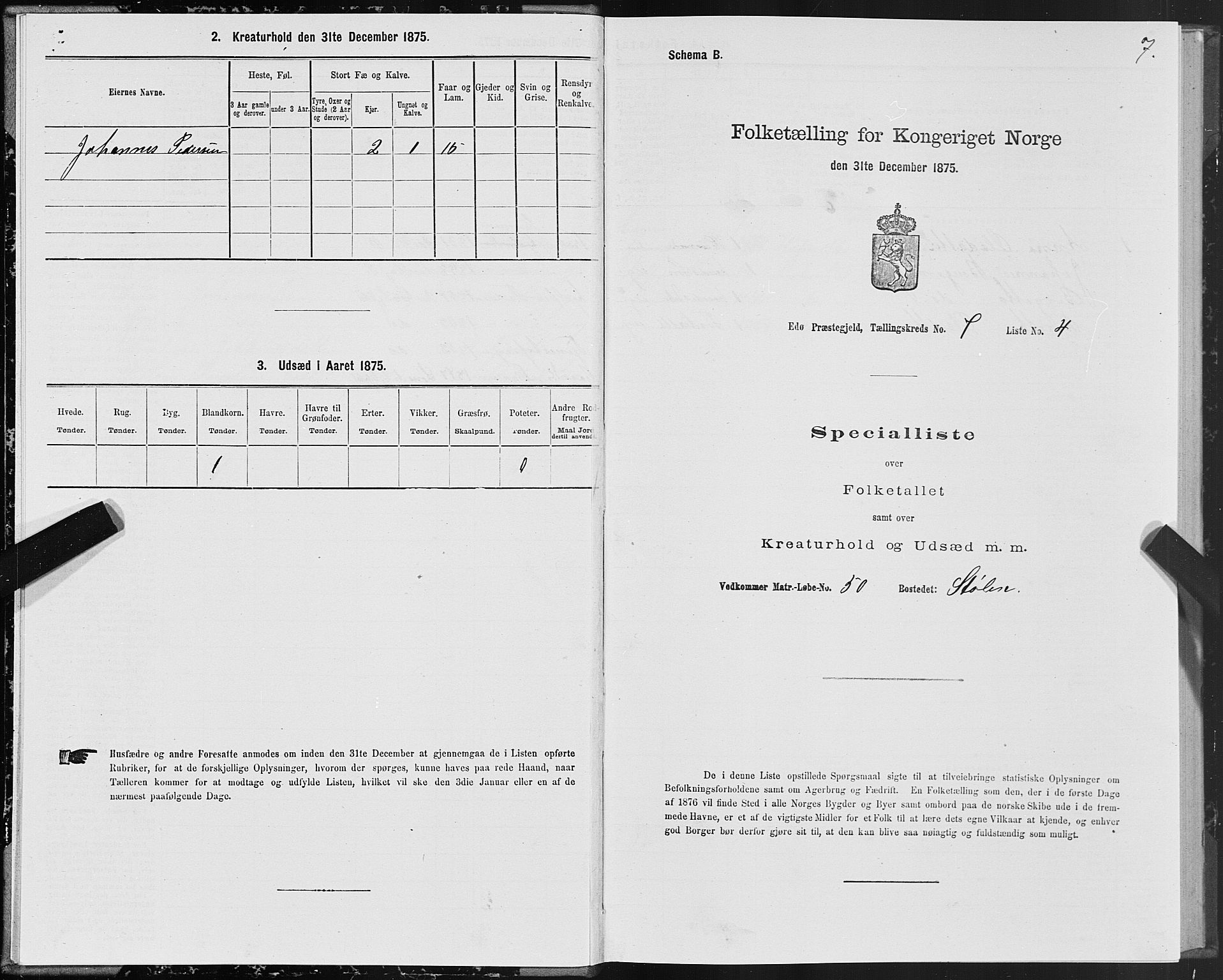 SAT, 1875 census for 1573P Edøy, 1875, p. 3007