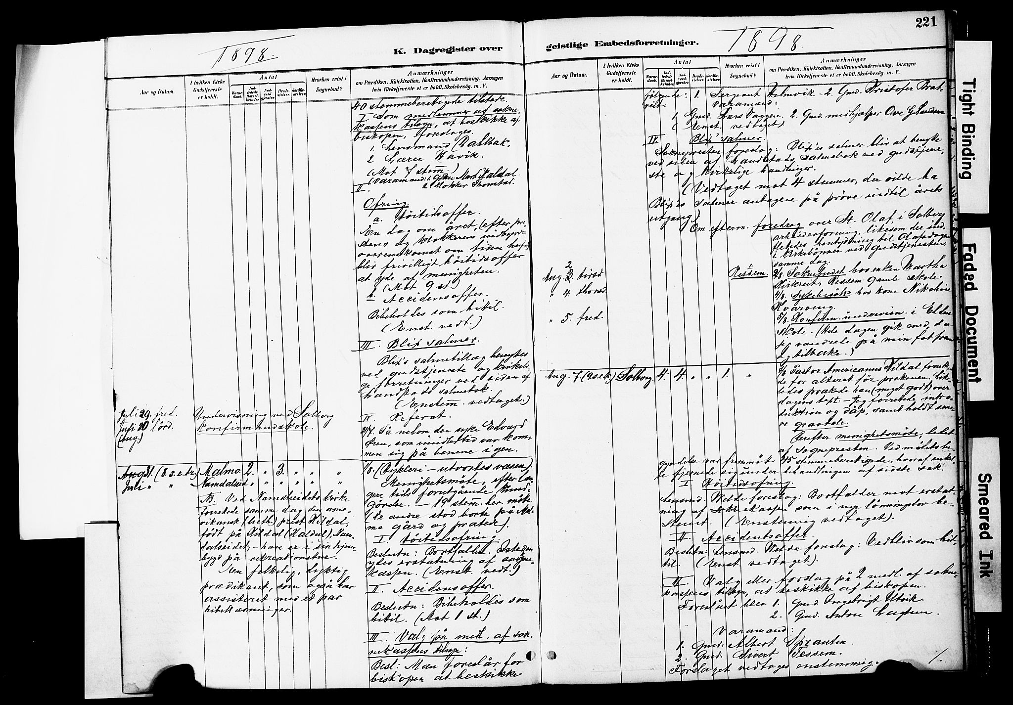 Ministerialprotokoller, klokkerbøker og fødselsregistre - Nord-Trøndelag, AV/SAT-A-1458/741/L0396: Parish register (official) no. 741A10, 1889-1901, p. 221