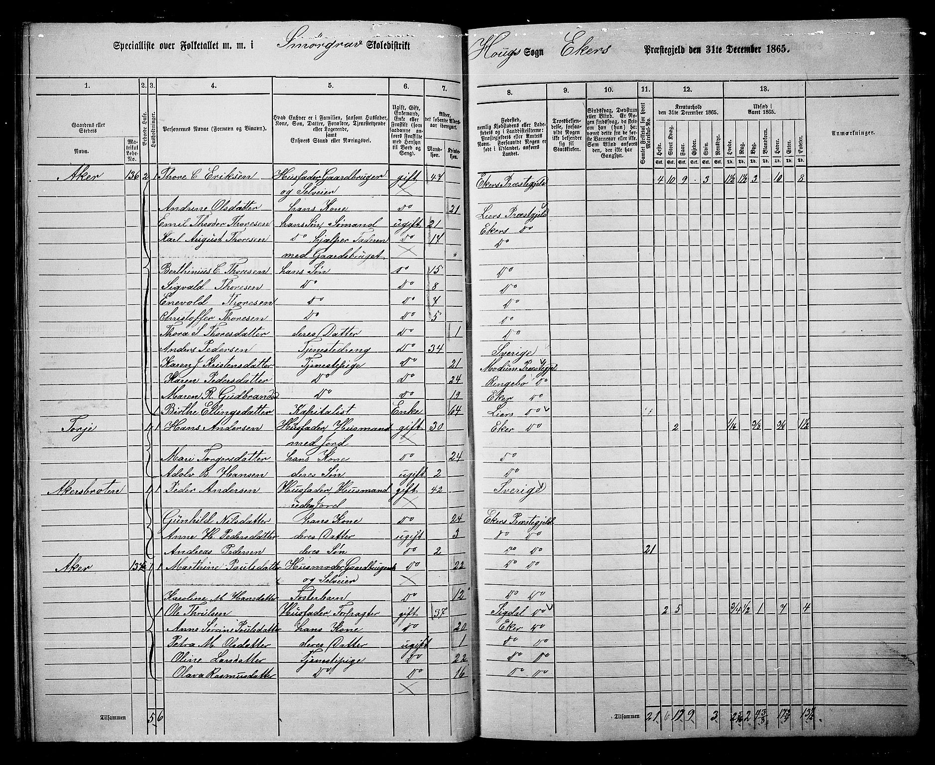 RA, 1865 census for Eiker, 1865, p. 42