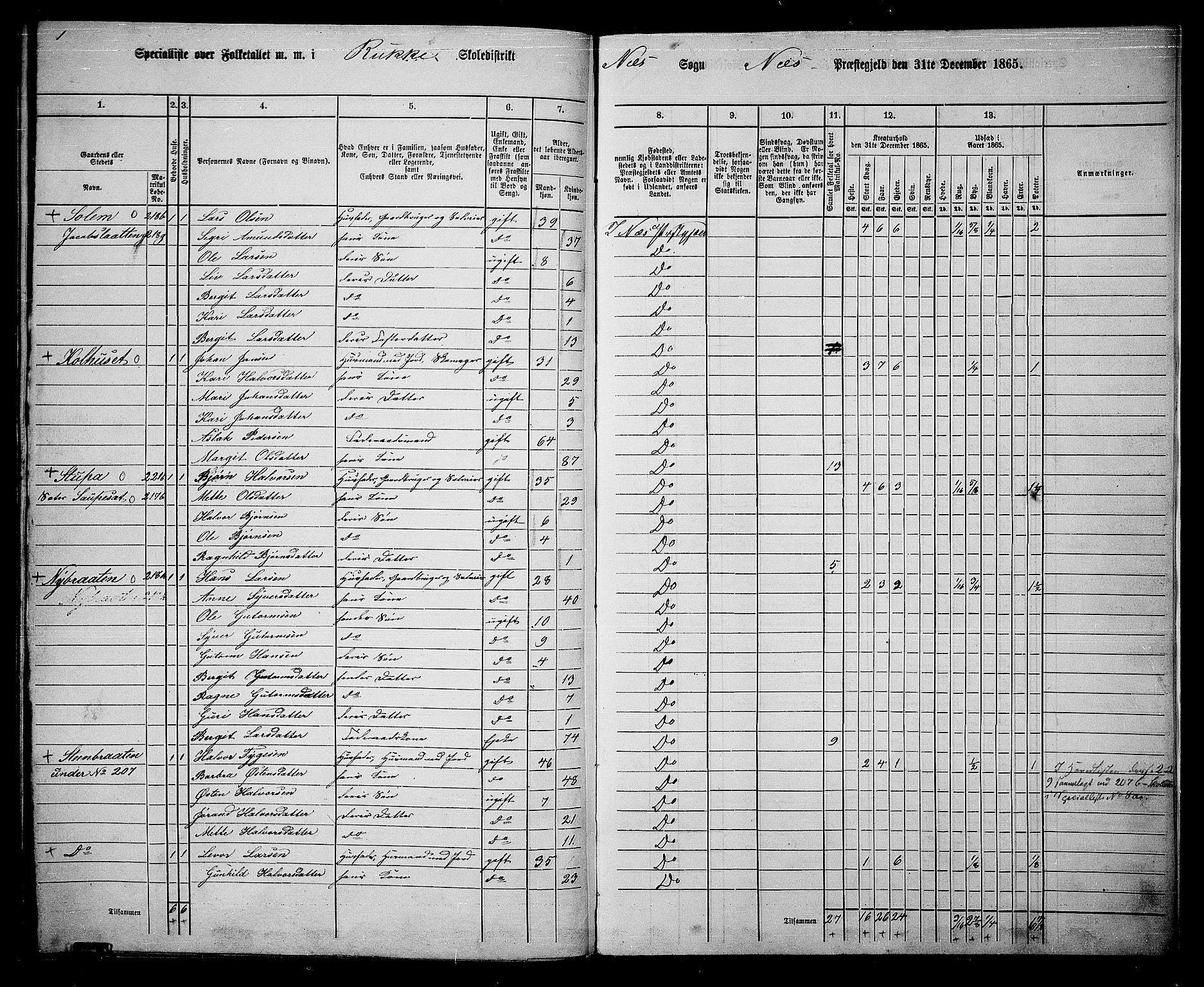 RA, 1865 census for Nes, 1865, p. 188