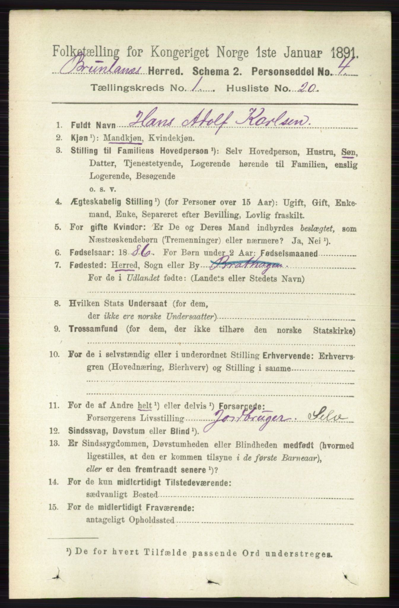 RA, 1891 census for 0726 Brunlanes, 1891, p. 243