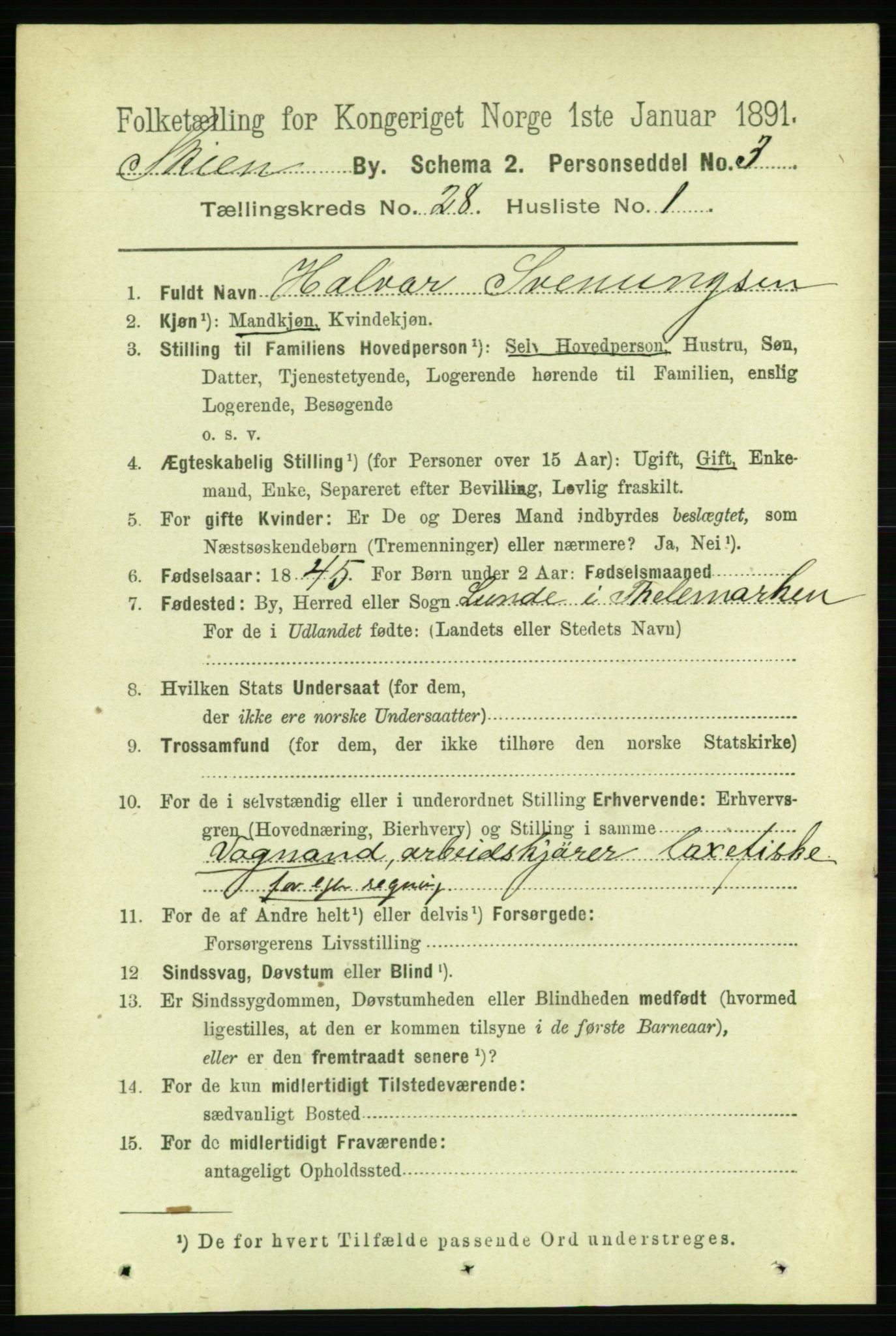 RA, 1891 census for 0806 Skien, 1891, p. 6498