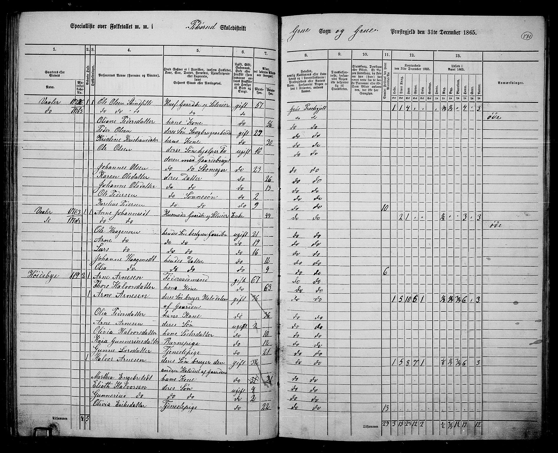 RA, 1865 census for Grue, 1865, p. 150