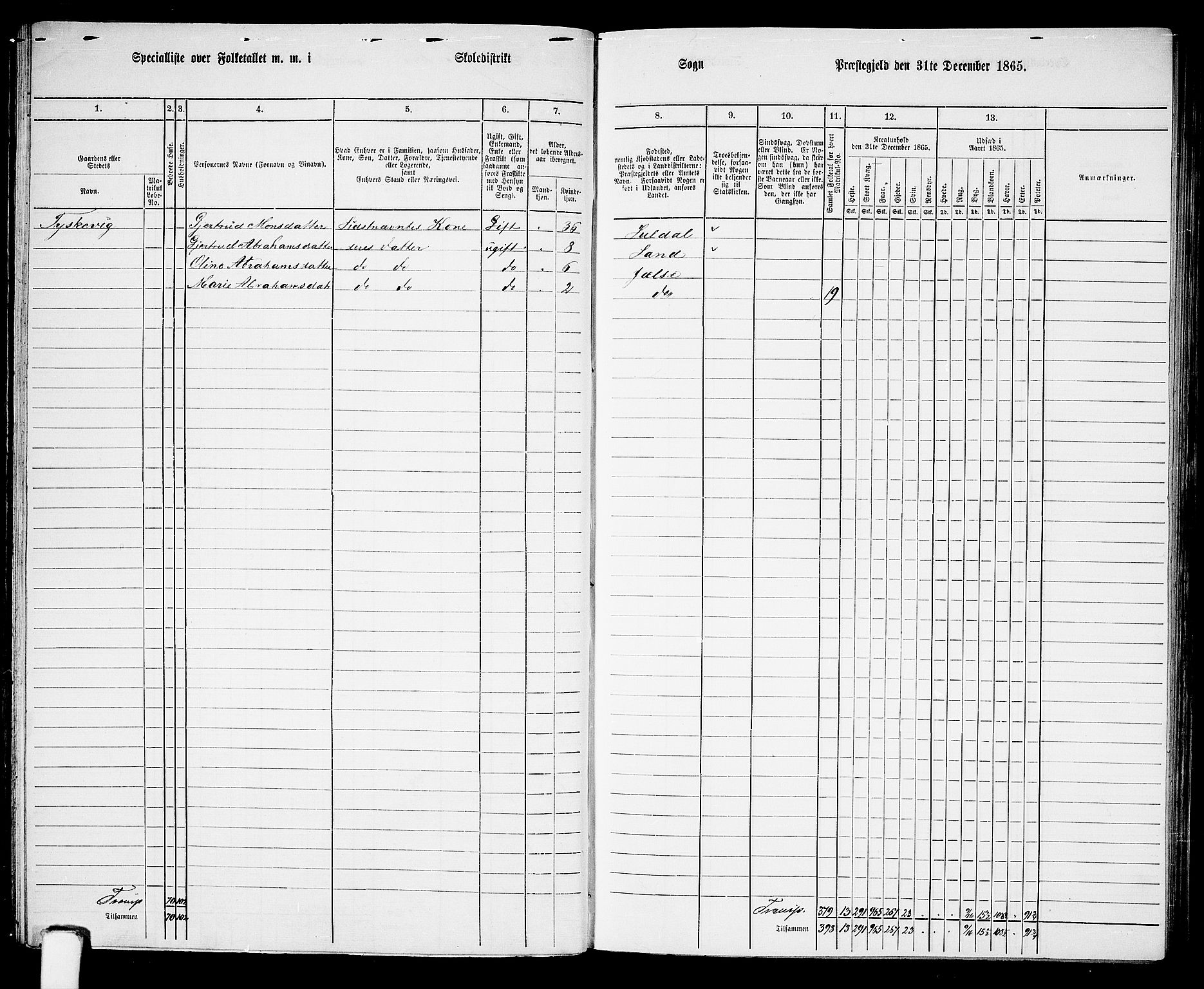 RA, 1865 census for Jelsa, 1865, p. 41