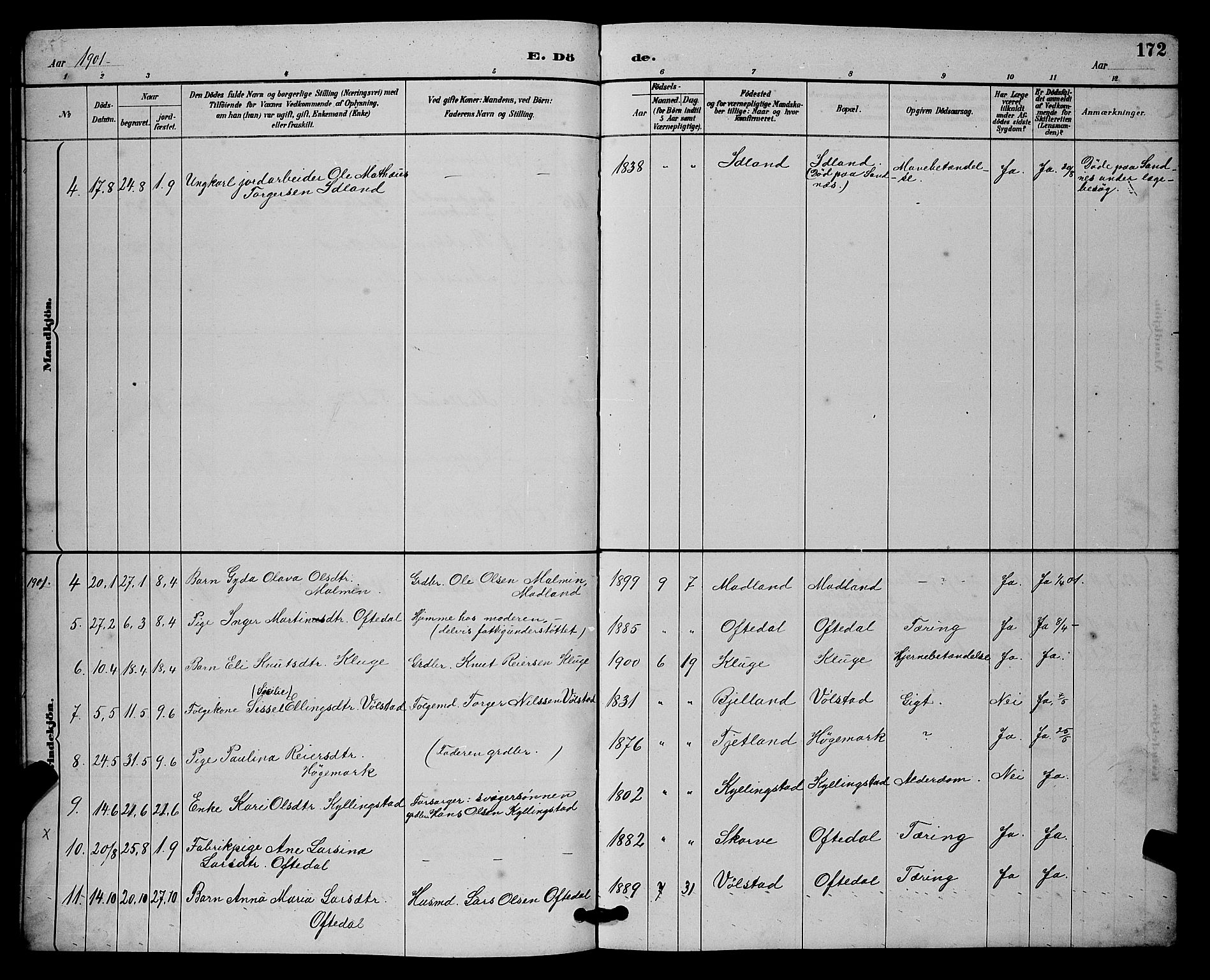 Lye sokneprestkontor, AV/SAST-A-101794/001/30BB/L0008: Parish register (copy) no. B 7, 1887-1901, p. 172