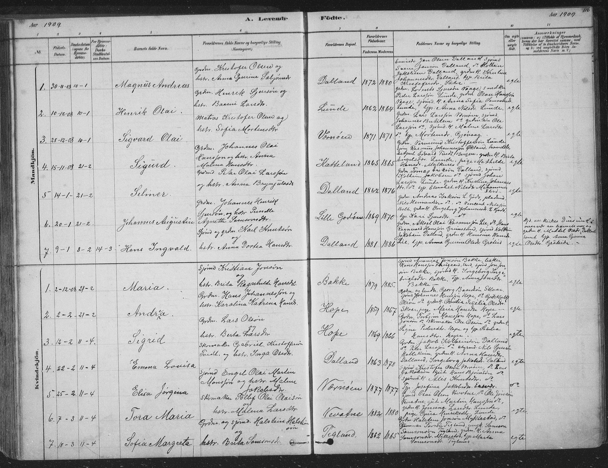 Tysnes sokneprestembete, SAB/A-78601/H/Hab: Parish register (copy) no. B 2, 1878-1918, p. 116