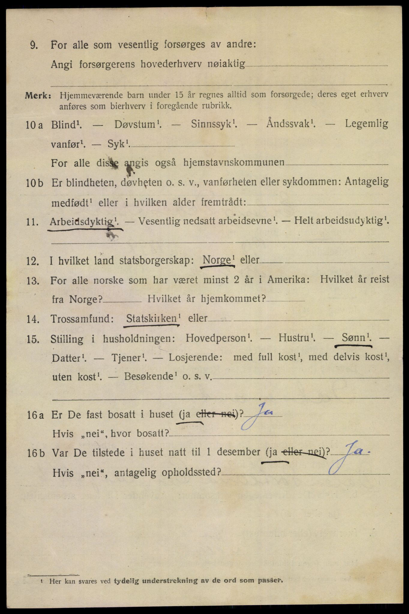 SAKO, 1920 census for Brevik, 1920, p. 6021