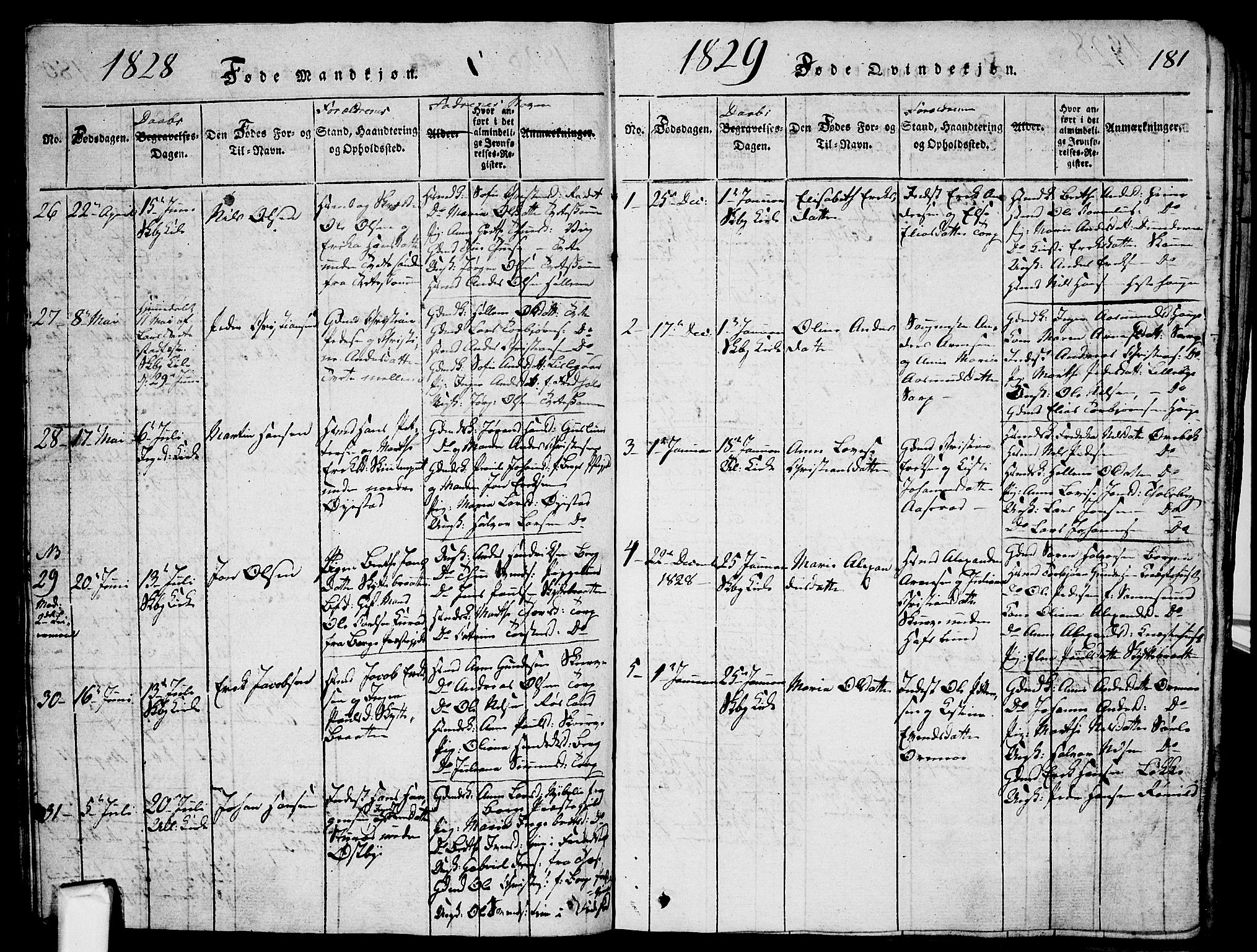 Skjeberg prestekontor Kirkebøker, SAO/A-10923/G/Ga/L0001: Parish register (copy) no. I 1, 1815-1830, p. 181