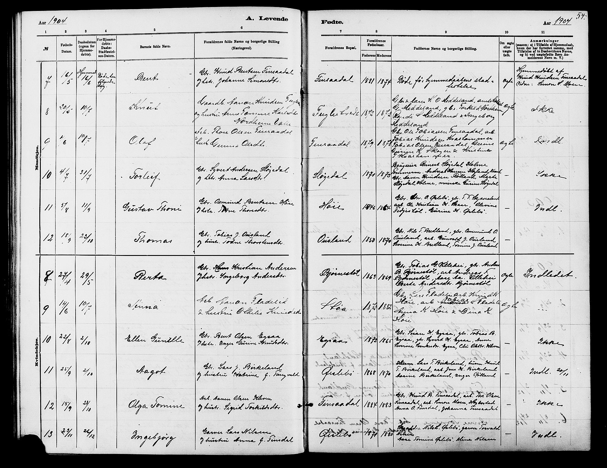 Holum sokneprestkontor, SAK/1111-0022/F/Fb/Fbc/L0003: Parish register (copy) no. B 3, 1882-1908, p. 54
