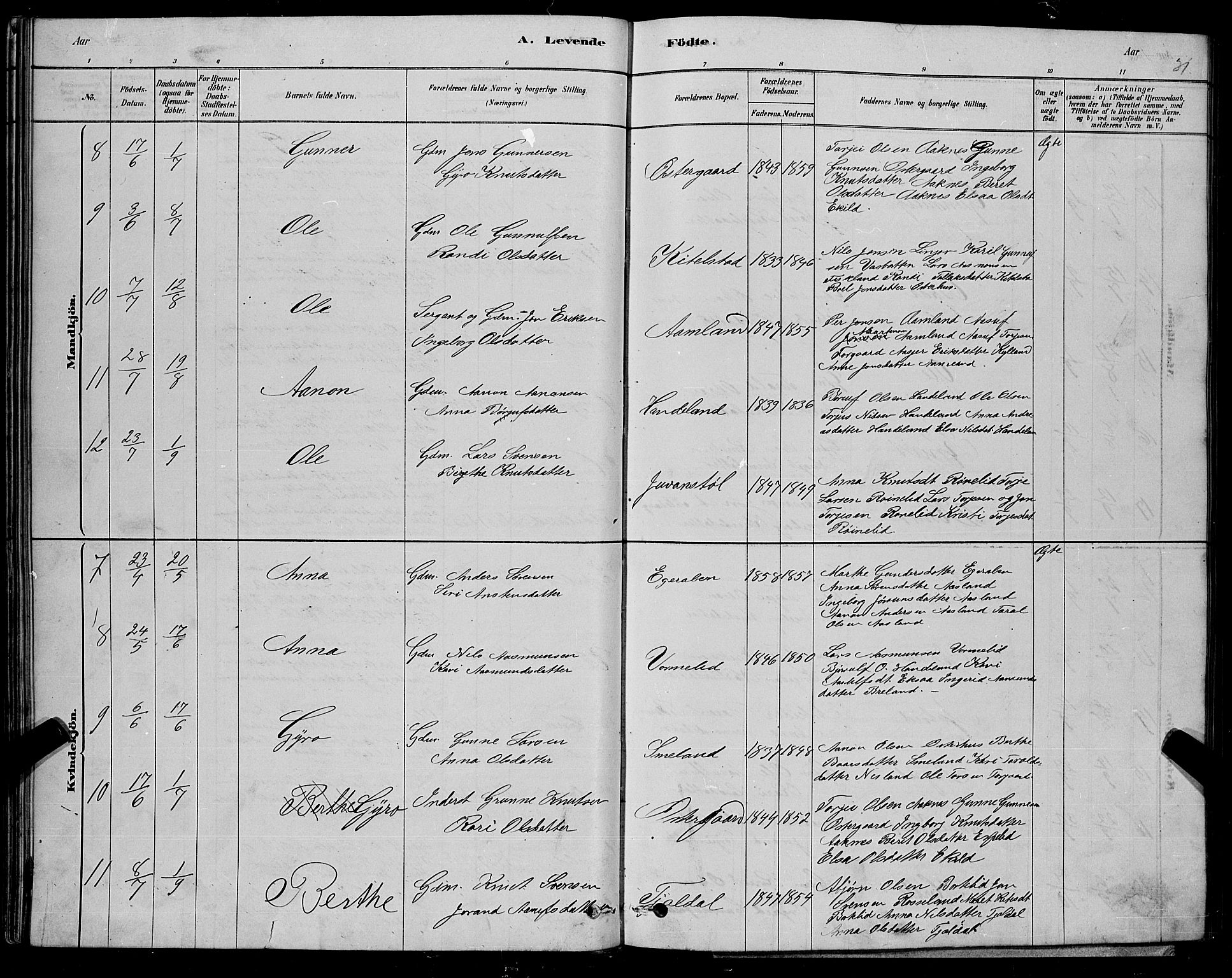 Åseral sokneprestkontor, AV/SAK-1111-0051/F/Fb/L0002: Parish register (copy) no. B 2, 1878-1899, p. 31