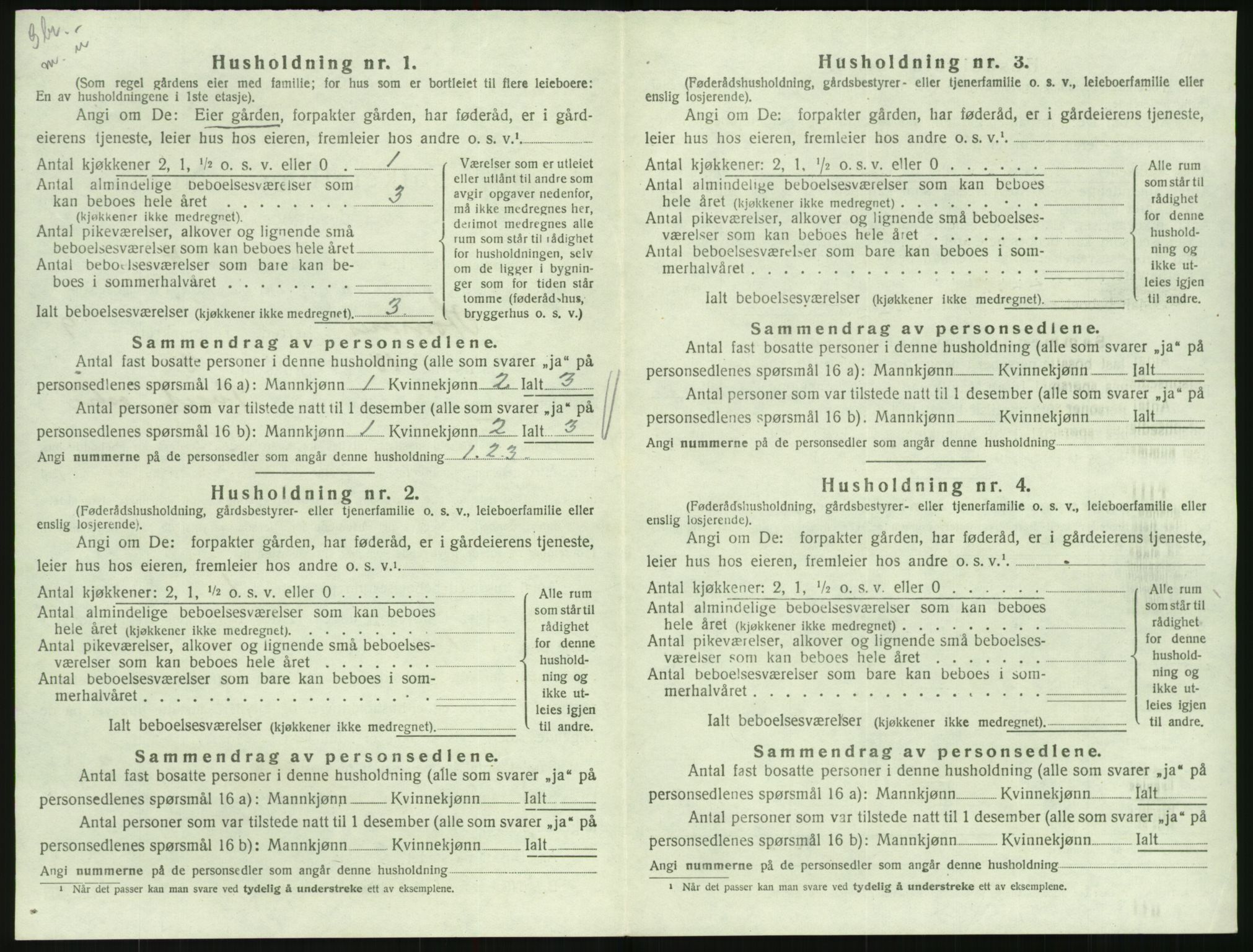 SAK, 1920 census for Hornnes, 1920, p. 358
