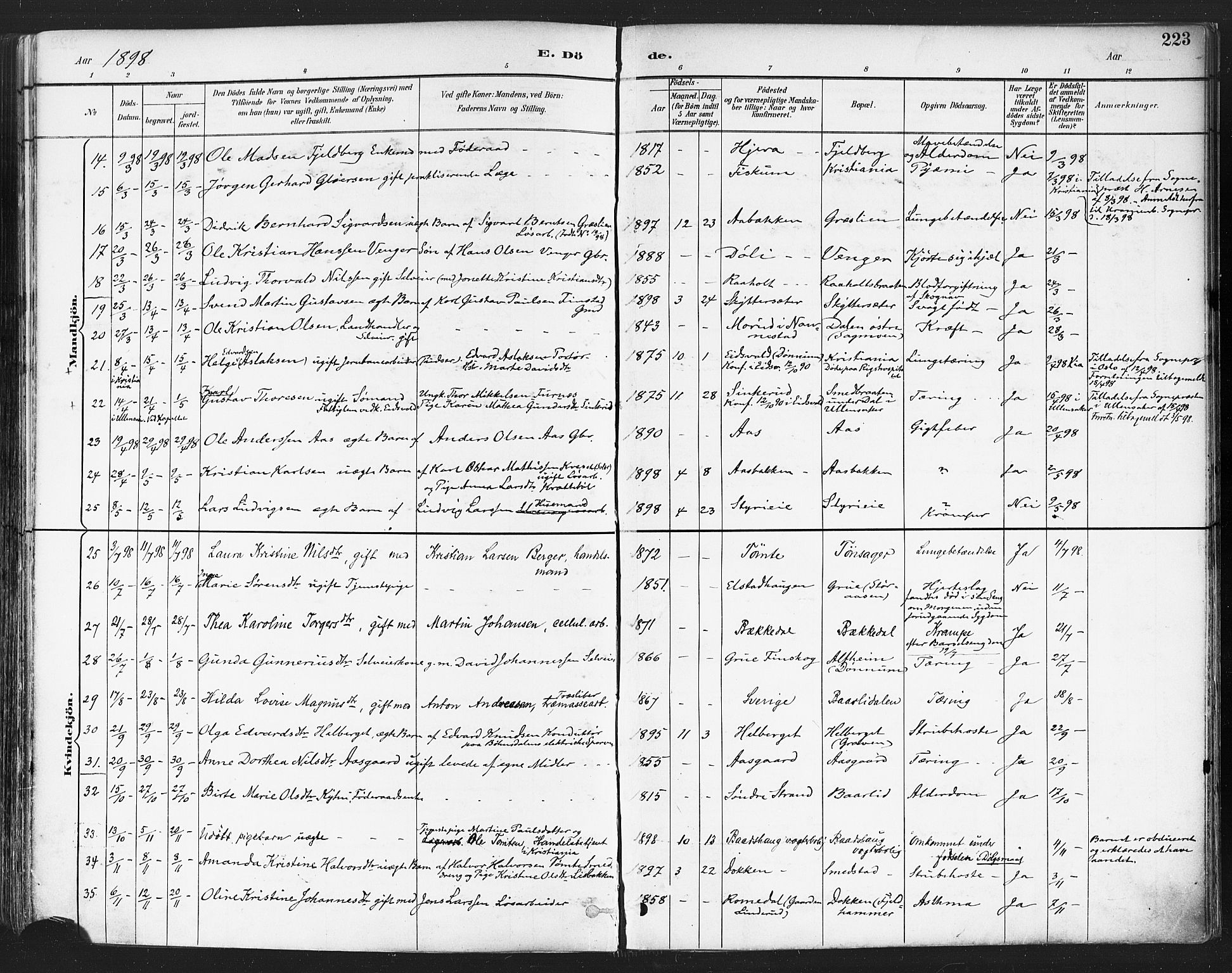 Eidsvoll prestekontor Kirkebøker, SAO/A-10888/F/Fa/L0004: Parish register (official) no. I 4, 1891-1900, p. 223