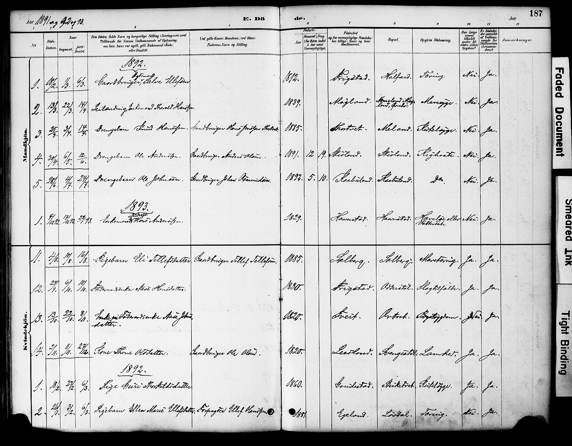 Evje sokneprestkontor, AV/SAK-1111-0008/F/Fa/Fac/L0003: Parish register (official) no. A 3, 1884-1909, p. 187