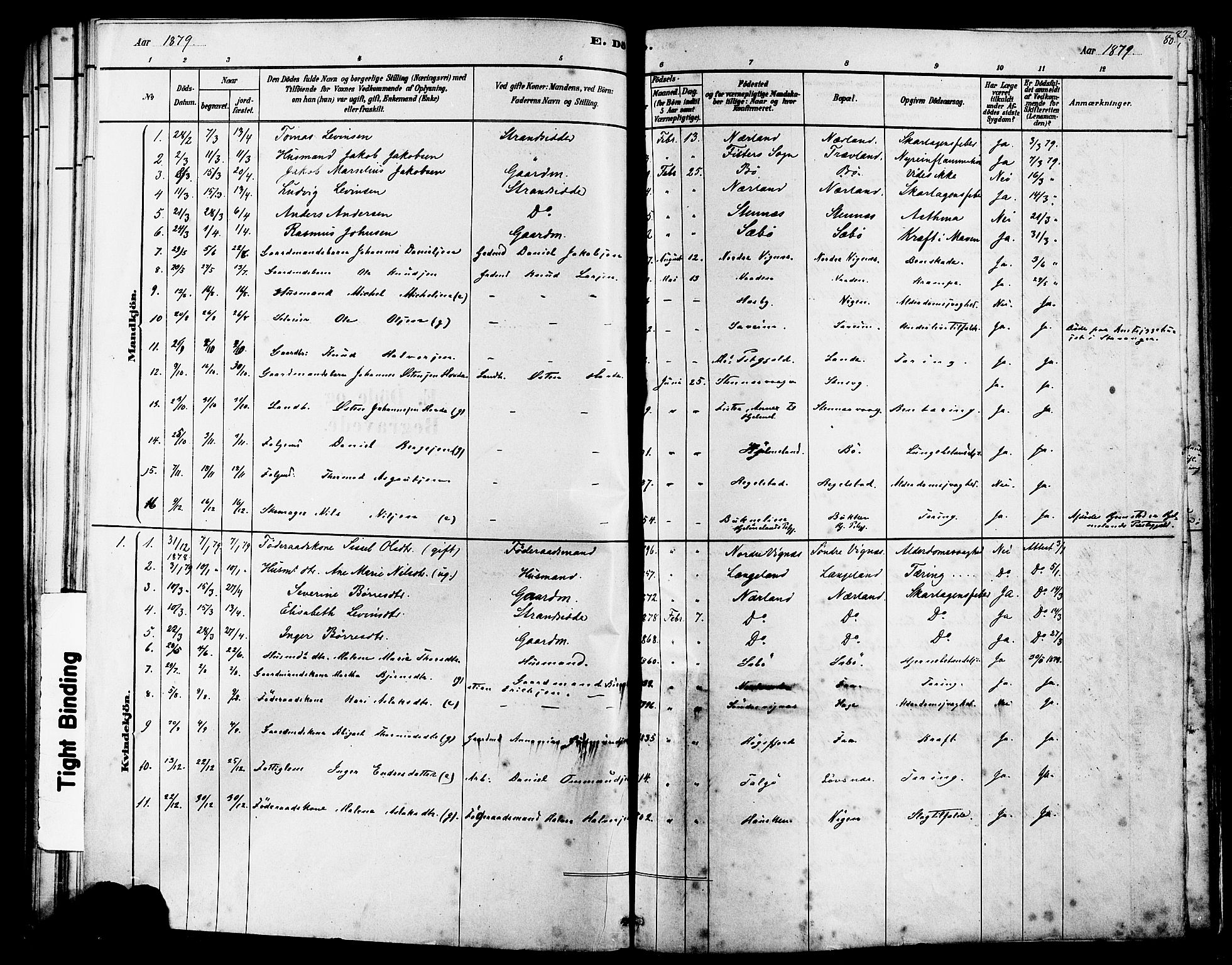 Finnøy sokneprestkontor, AV/SAST-A-101825/H/Ha/Haa/L0010: Parish register (official) no. A 10, 1879-1890, p. 80