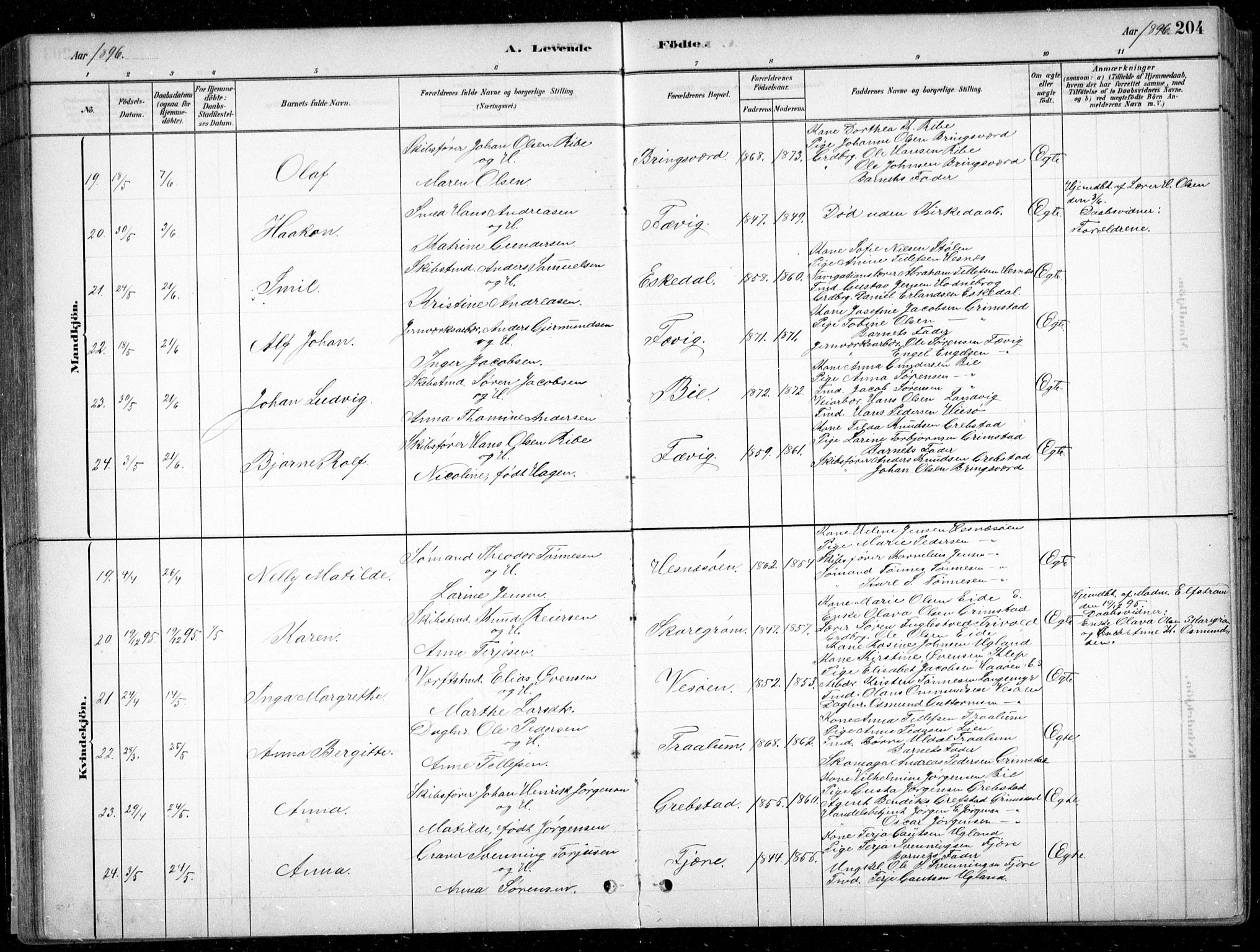 Fjære sokneprestkontor, AV/SAK-1111-0011/F/Fb/L0011: Parish register (copy) no. B 11, 1881-1905, p. 204