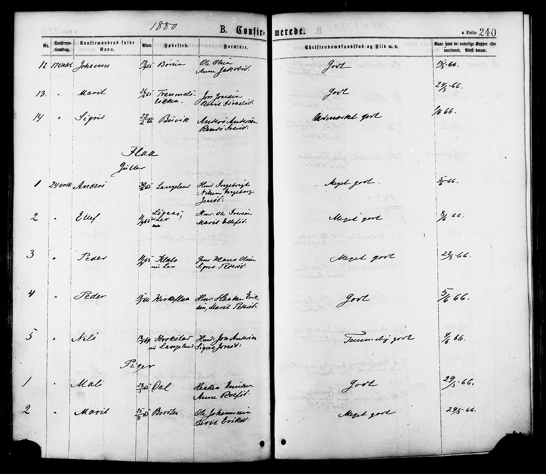 Ministerialprotokoller, klokkerbøker og fødselsregistre - Sør-Trøndelag, AV/SAT-A-1456/691/L1079: Parish register (official) no. 691A11, 1873-1886, p. 240