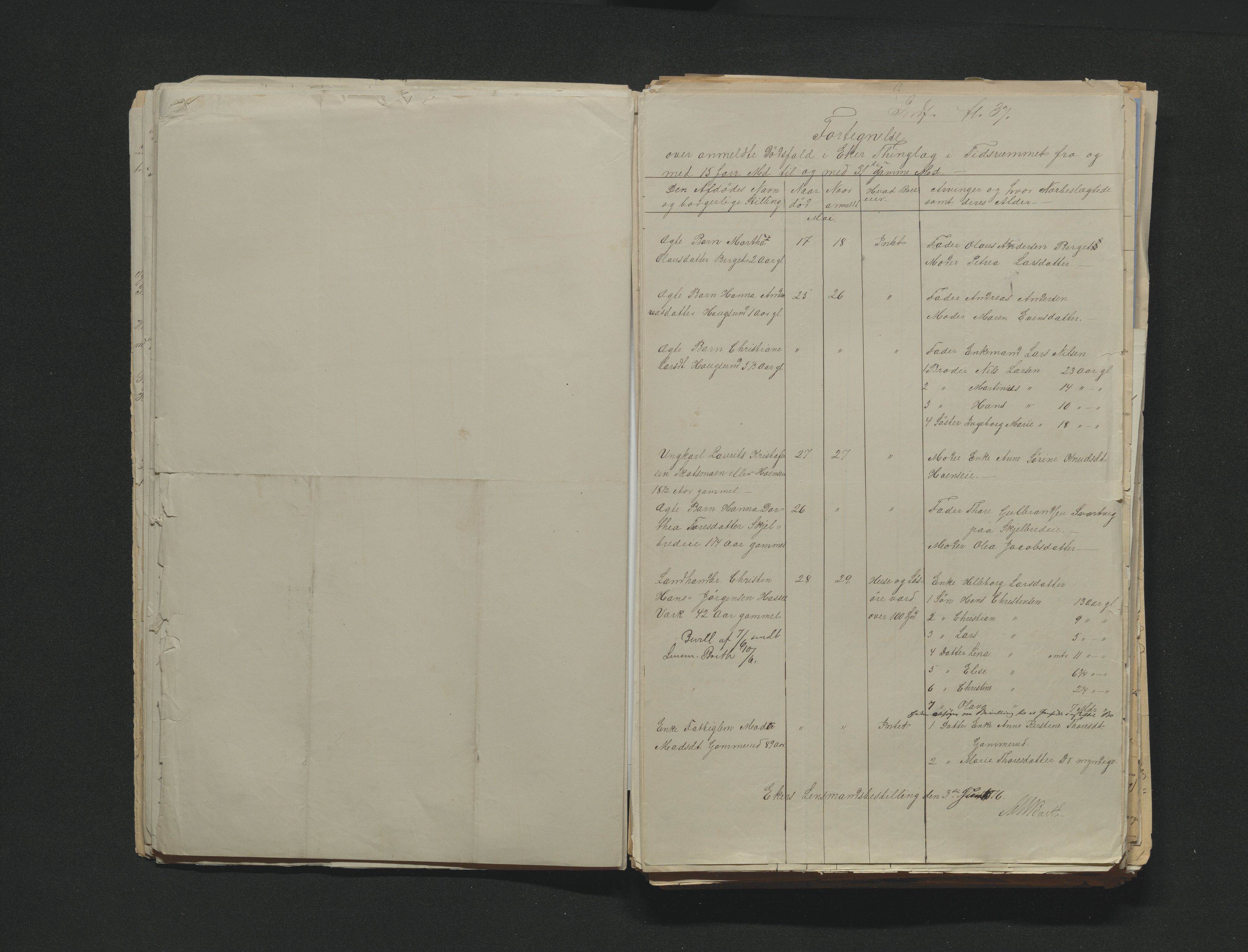 Eiker, Modum og Sigdal sorenskriveri, AV/SAKO-A-123/H/Ha/Hab/L0014: Dødsfallsmeldinger, 1874-1877, p. 378