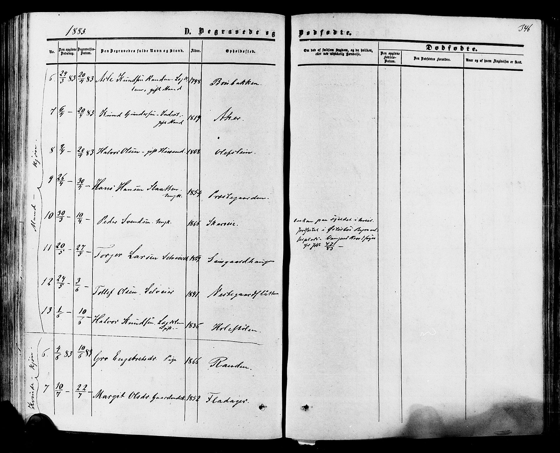 Hol kirkebøker, AV/SAKO-A-227/F/Fa/L0002: Parish register (official) no. I 2, 1870-1886, p. 346