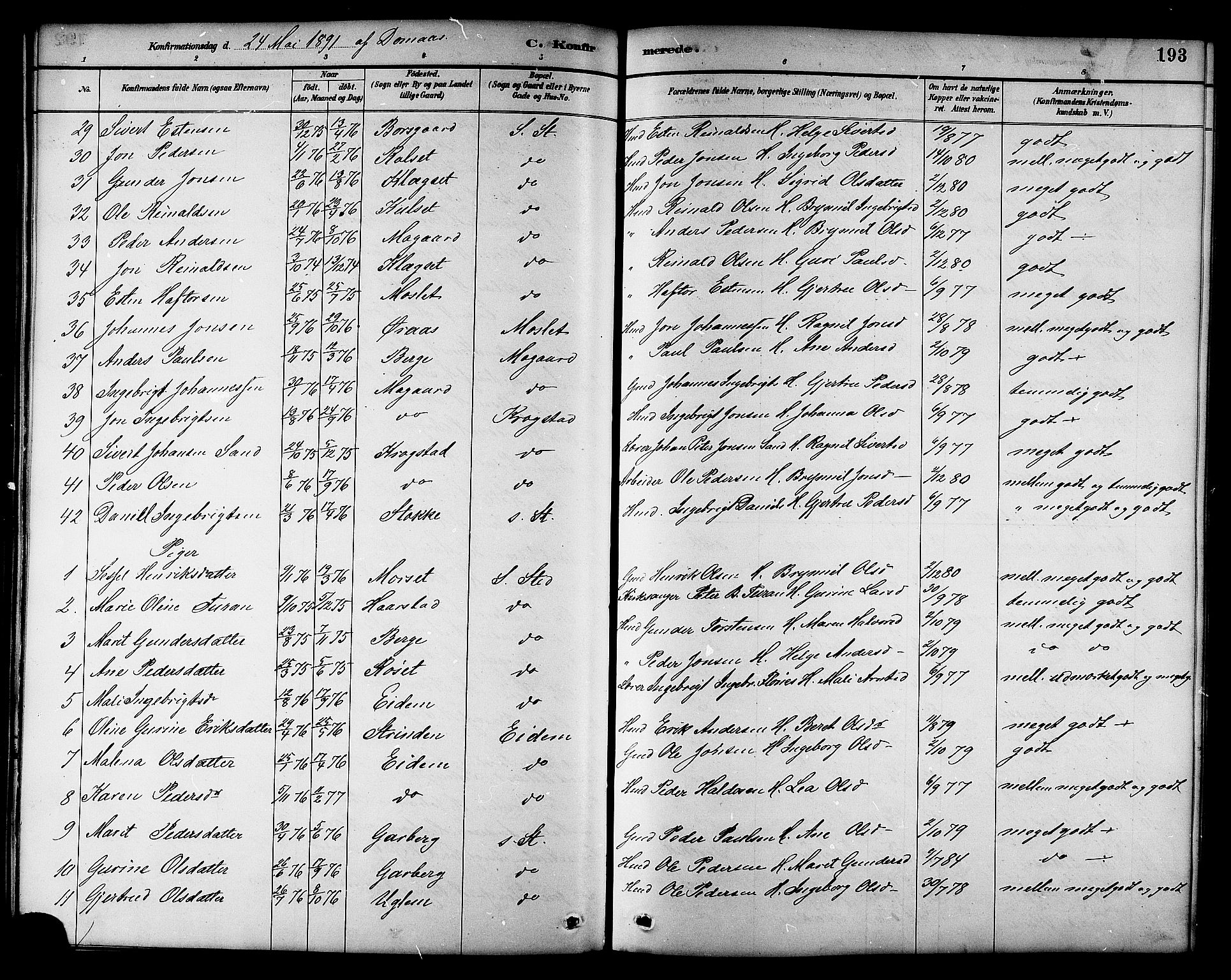 Ministerialprotokoller, klokkerbøker og fødselsregistre - Sør-Trøndelag, AV/SAT-A-1456/695/L1157: Parish register (copy) no. 695C08, 1889-1913, p. 193