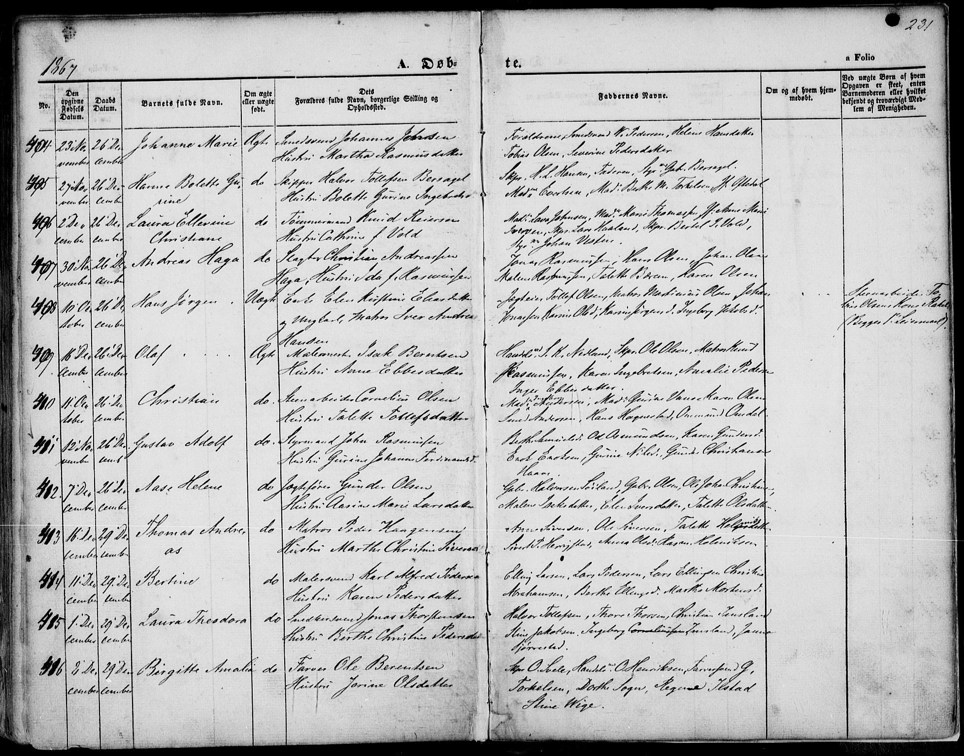 St. Petri sokneprestkontor, AV/SAST-A-101813/001/30/30BA/L0001: Parish register (official) no. A 1, 1861-1868, p. 231