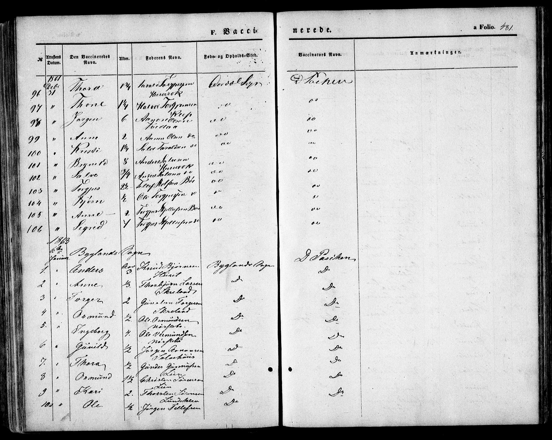 Bygland sokneprestkontor, SAK/1111-0006/F/Fa/Fab/L0005: Parish register (official) no. A 5, 1859-1873, p. 481