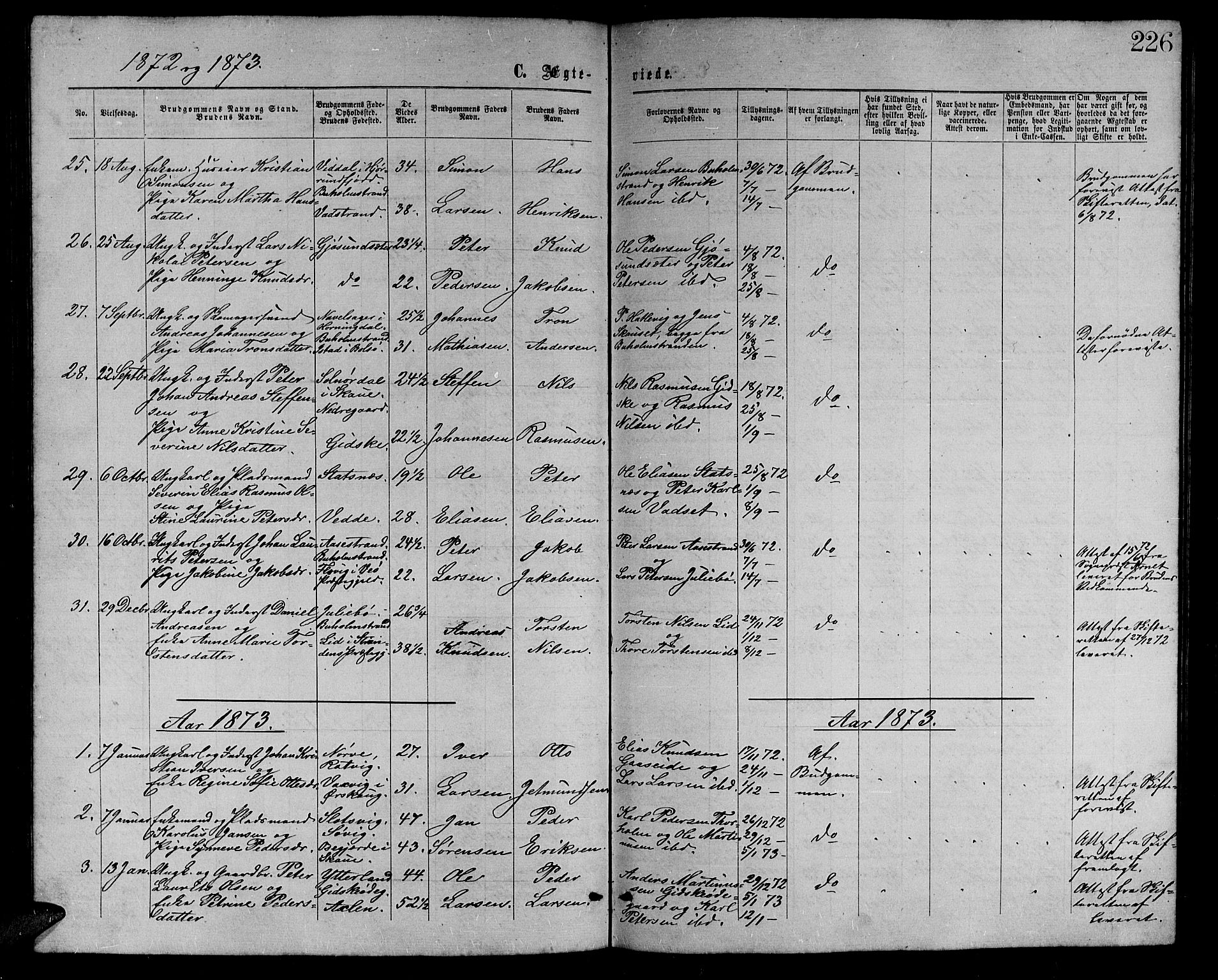 Ministerialprotokoller, klokkerbøker og fødselsregistre - Møre og Romsdal, AV/SAT-A-1454/528/L0428: Parish register (copy) no. 528C09, 1864-1880, p. 226