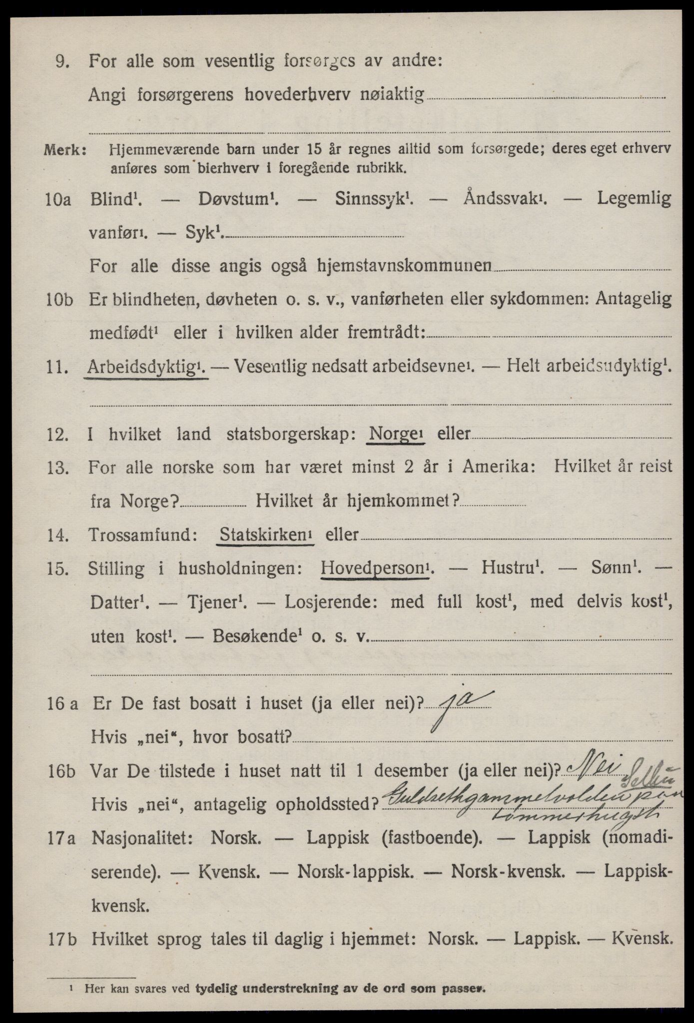 SAT, 1920 census for Selbu, 1920, p. 9447