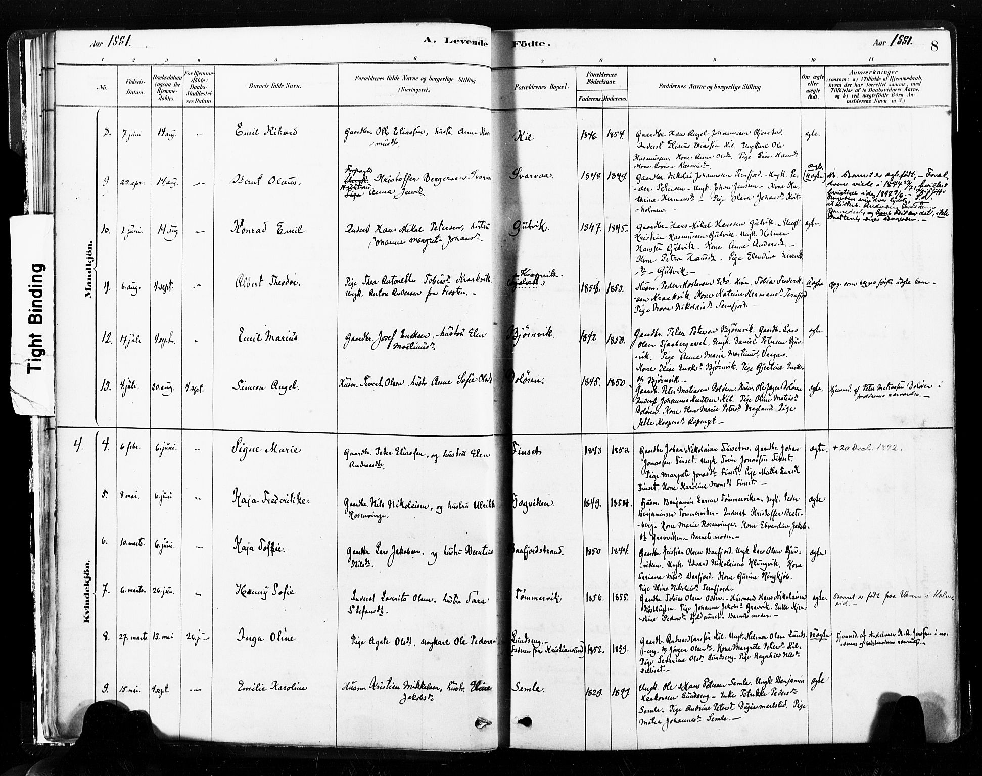 Ministerialprotokoller, klokkerbøker og fødselsregistre - Nord-Trøndelag, SAT/A-1458/789/L0705: Parish register (official) no. 789A01, 1878-1910, p. 8