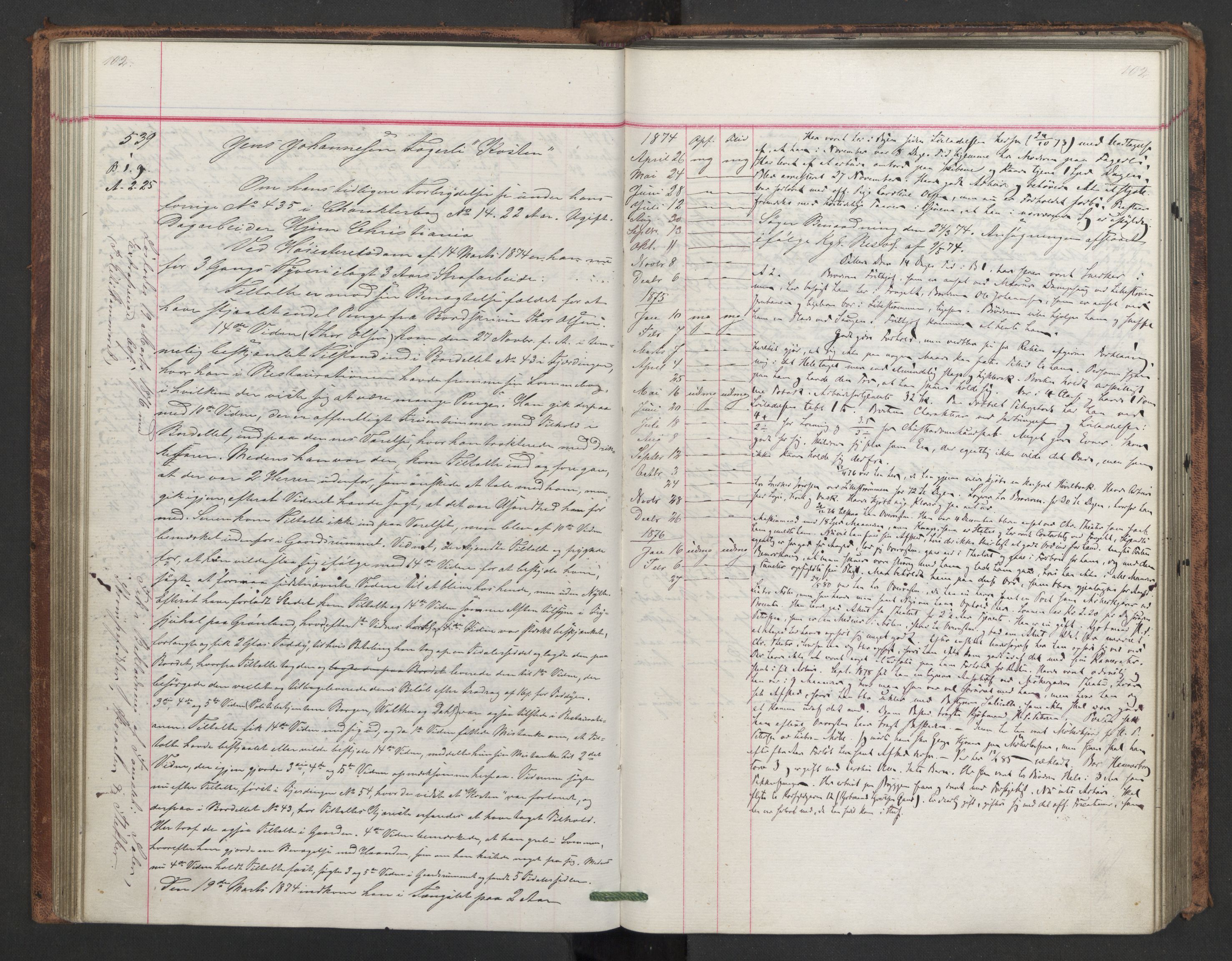 Botsfengslet, AV/RA-S-1539/D/Db/Dbb/L0015: 438e - 727e, 1873-1875, p. 102