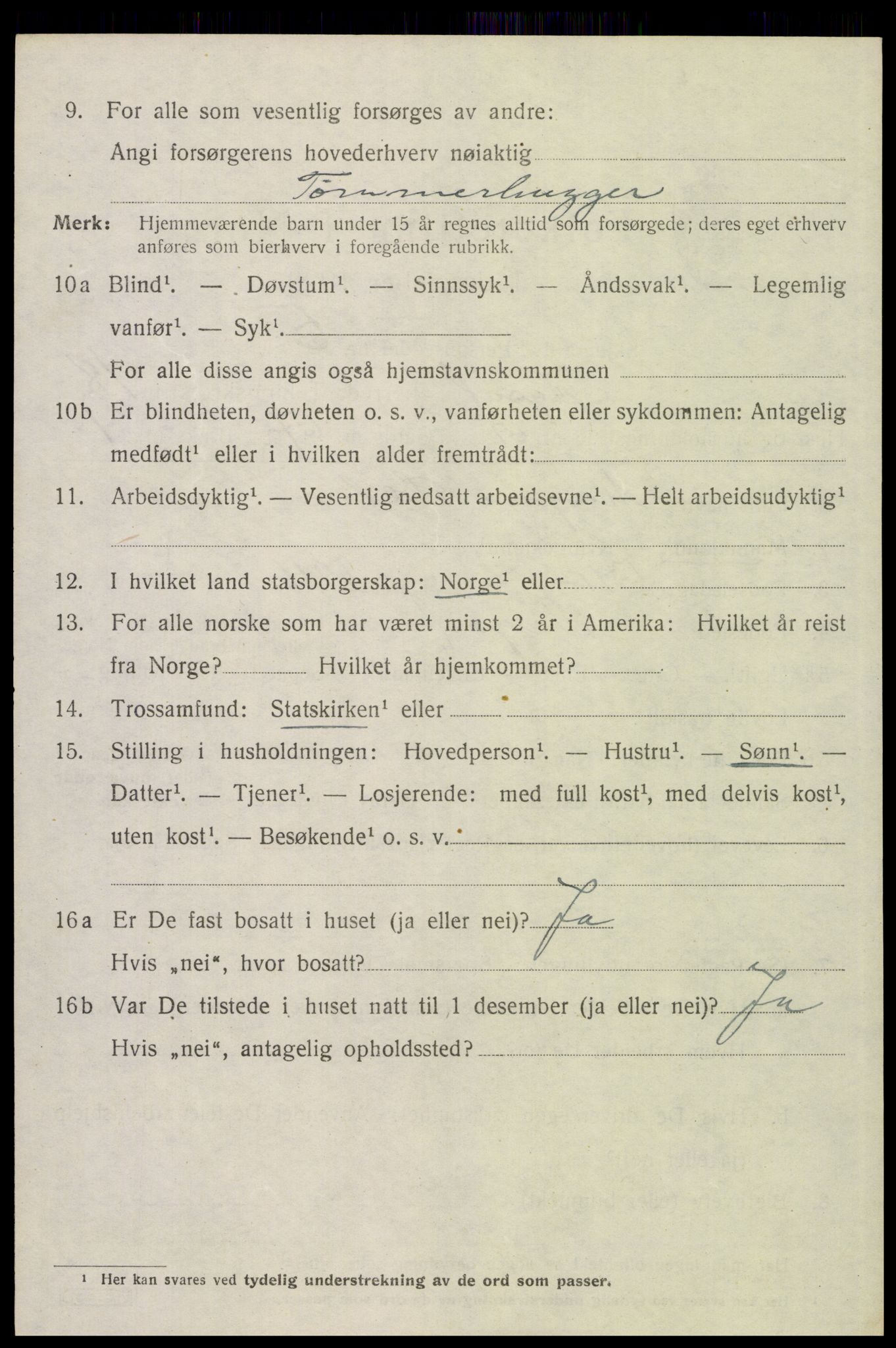SAH, 1920 census for Trysil, 1920, p. 12598