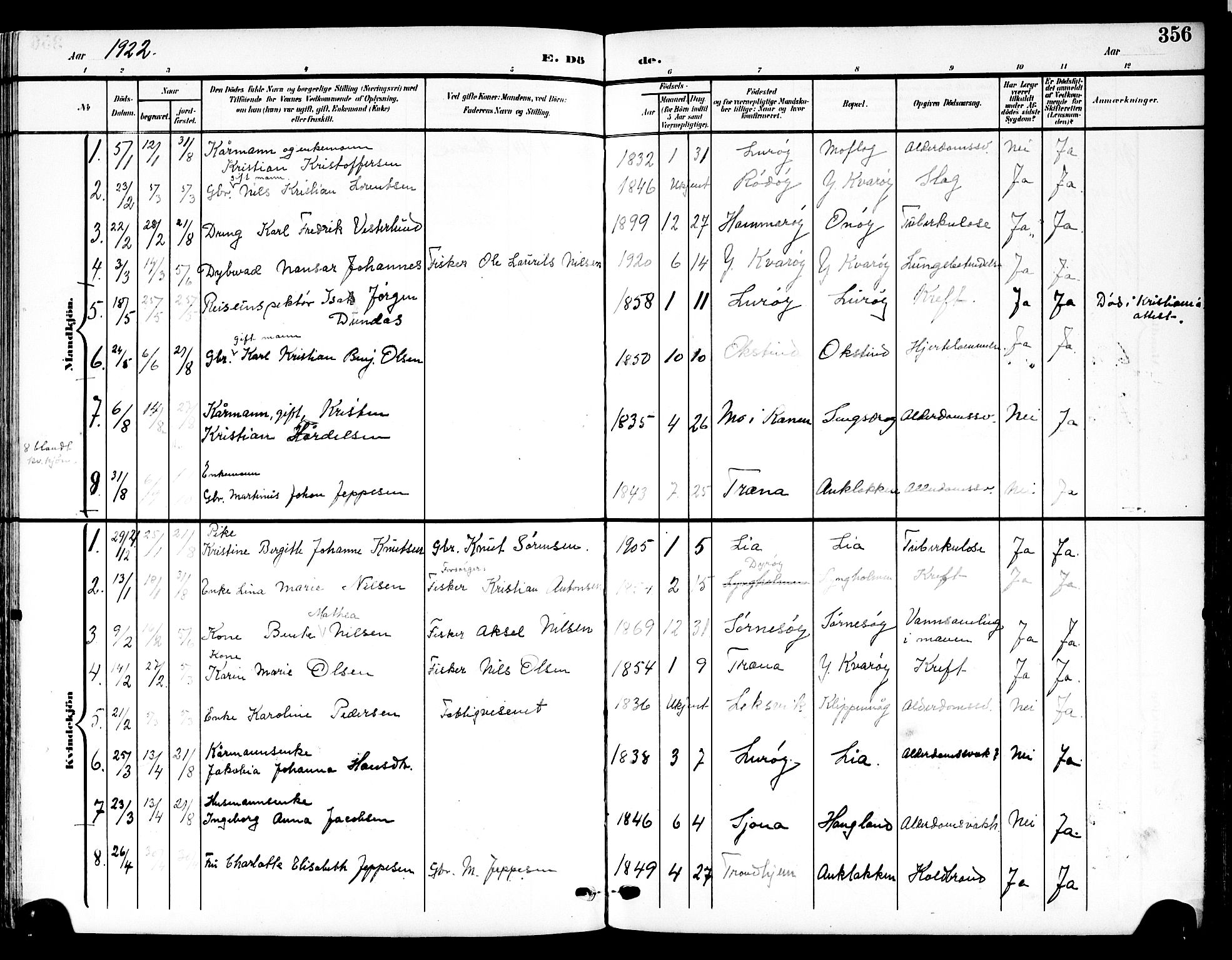 Ministerialprotokoller, klokkerbøker og fødselsregistre - Nordland, SAT/A-1459/839/L0569: Parish register (official) no. 839A06, 1903-1922, p. 356