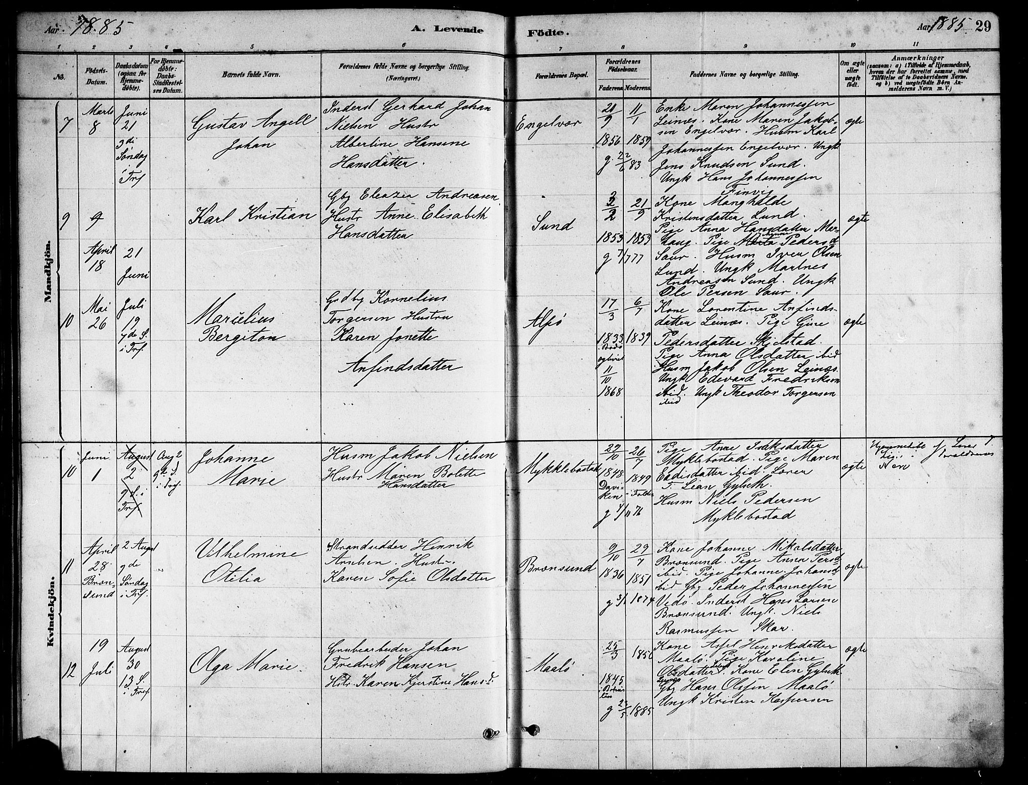 Ministerialprotokoller, klokkerbøker og fødselsregistre - Nordland, AV/SAT-A-1459/857/L0828: Parish register (copy) no. 857C03, 1879-1908, p. 29