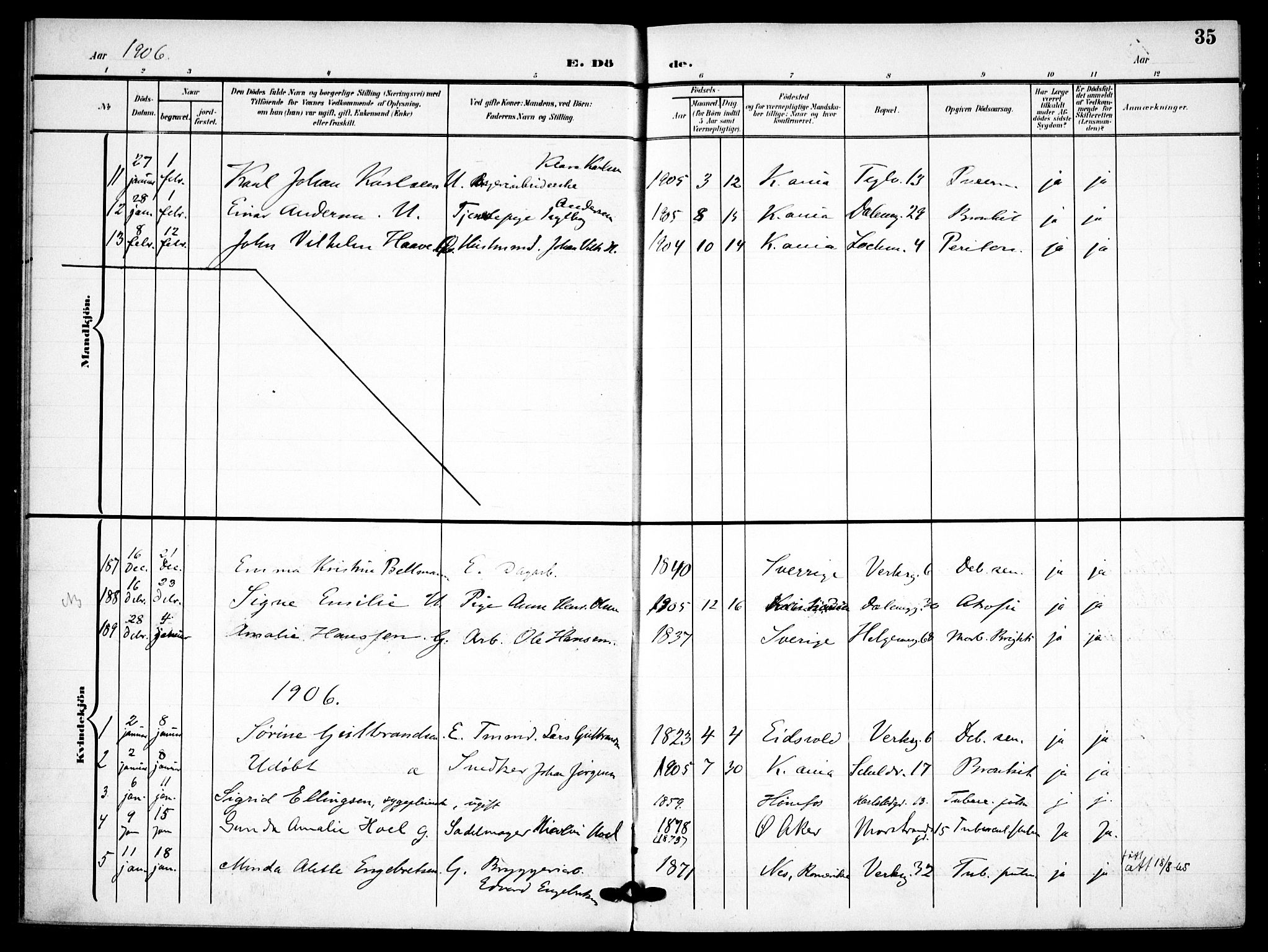 Petrus prestekontor Kirkebøker, AV/SAO-A-10872/F/Fa/L0010: Parish register (official) no. I 10, 1904-1916, p. 35