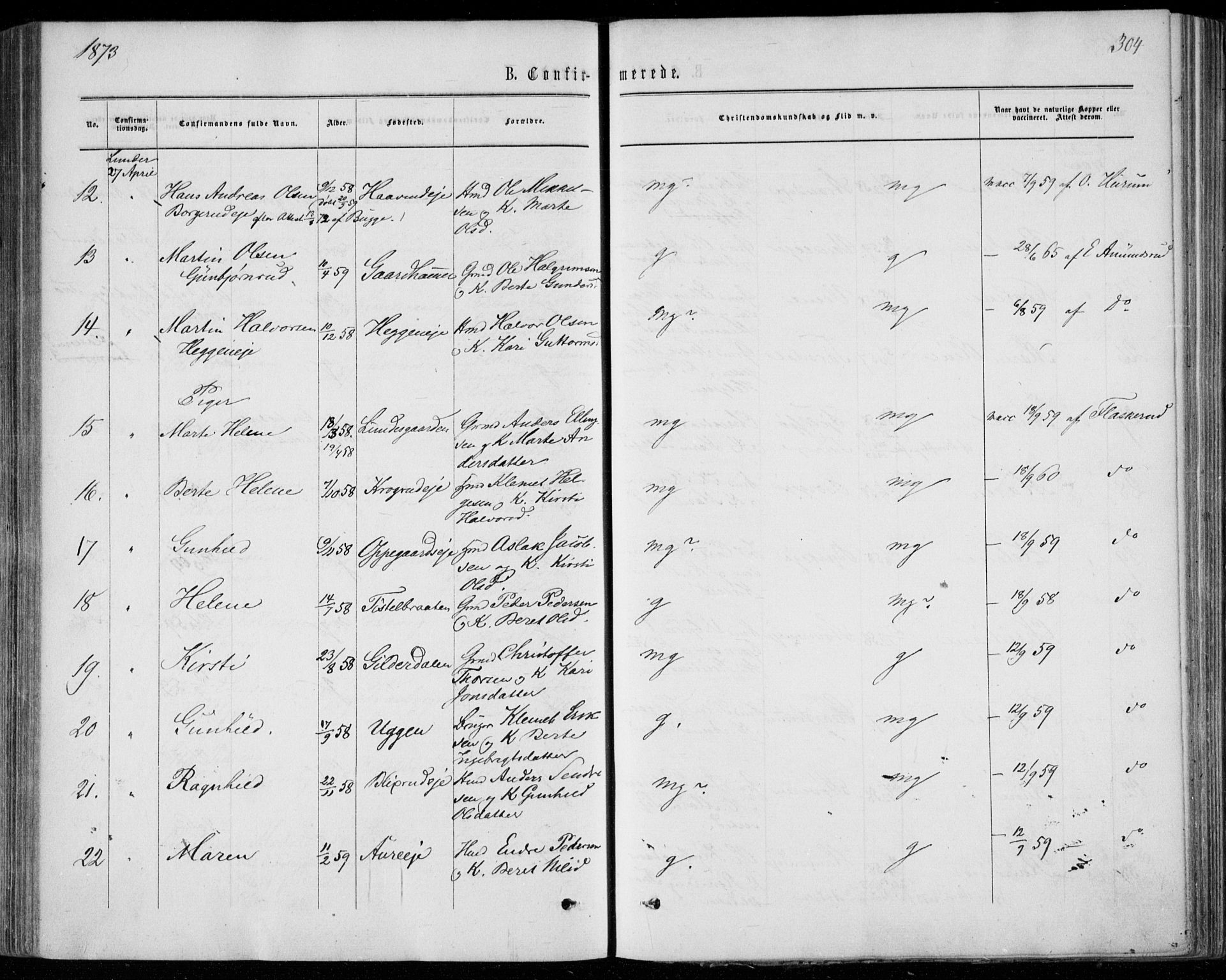 Norderhov kirkebøker, SAKO/A-237/F/Fa/L0013: Parish register (official) no. 13, 1866-1874, p. 304