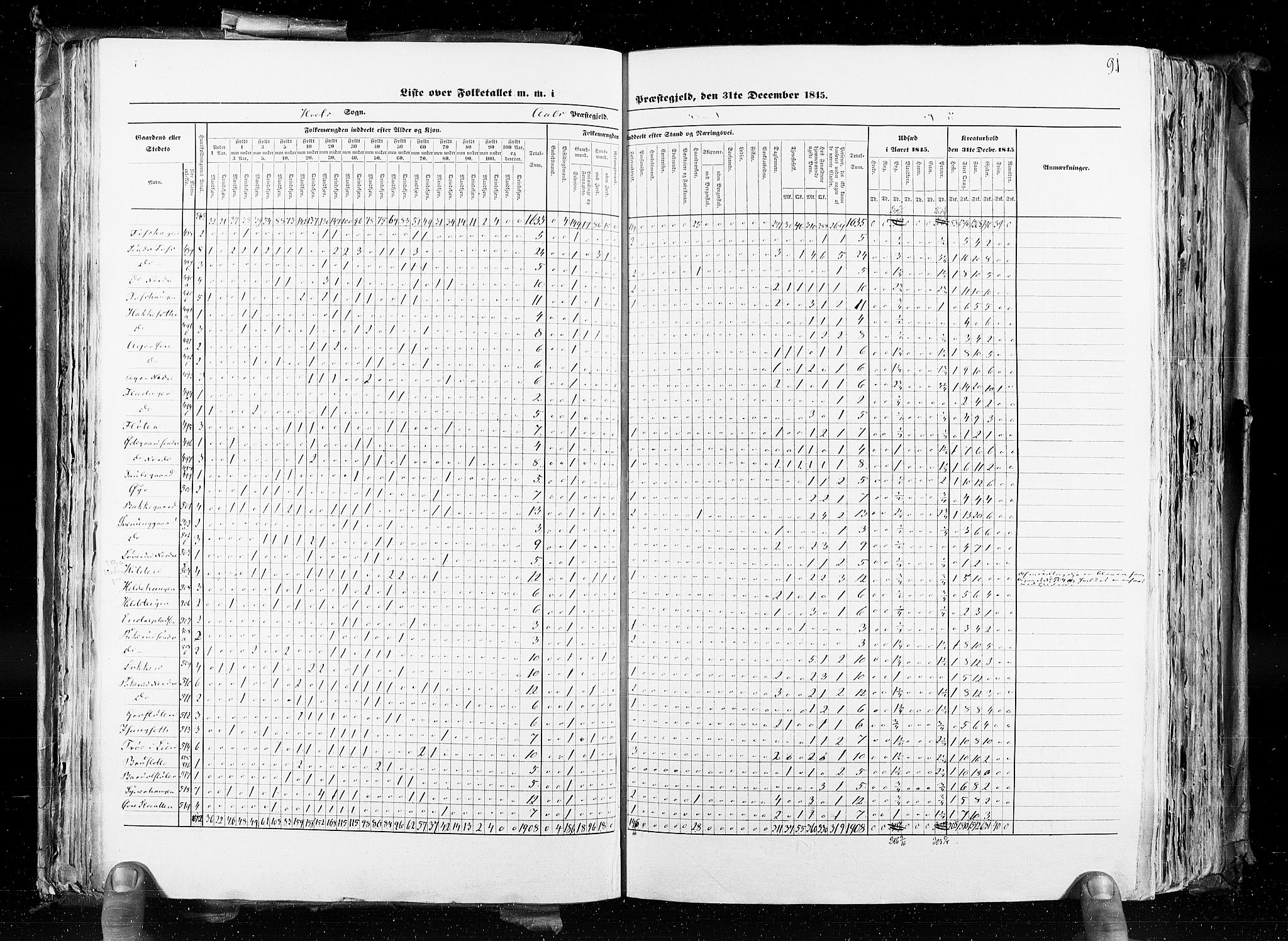 RA, Census 1845, vol. 4: Buskerud amt og Jarlsberg og Larvik amt, 1845, p. 91