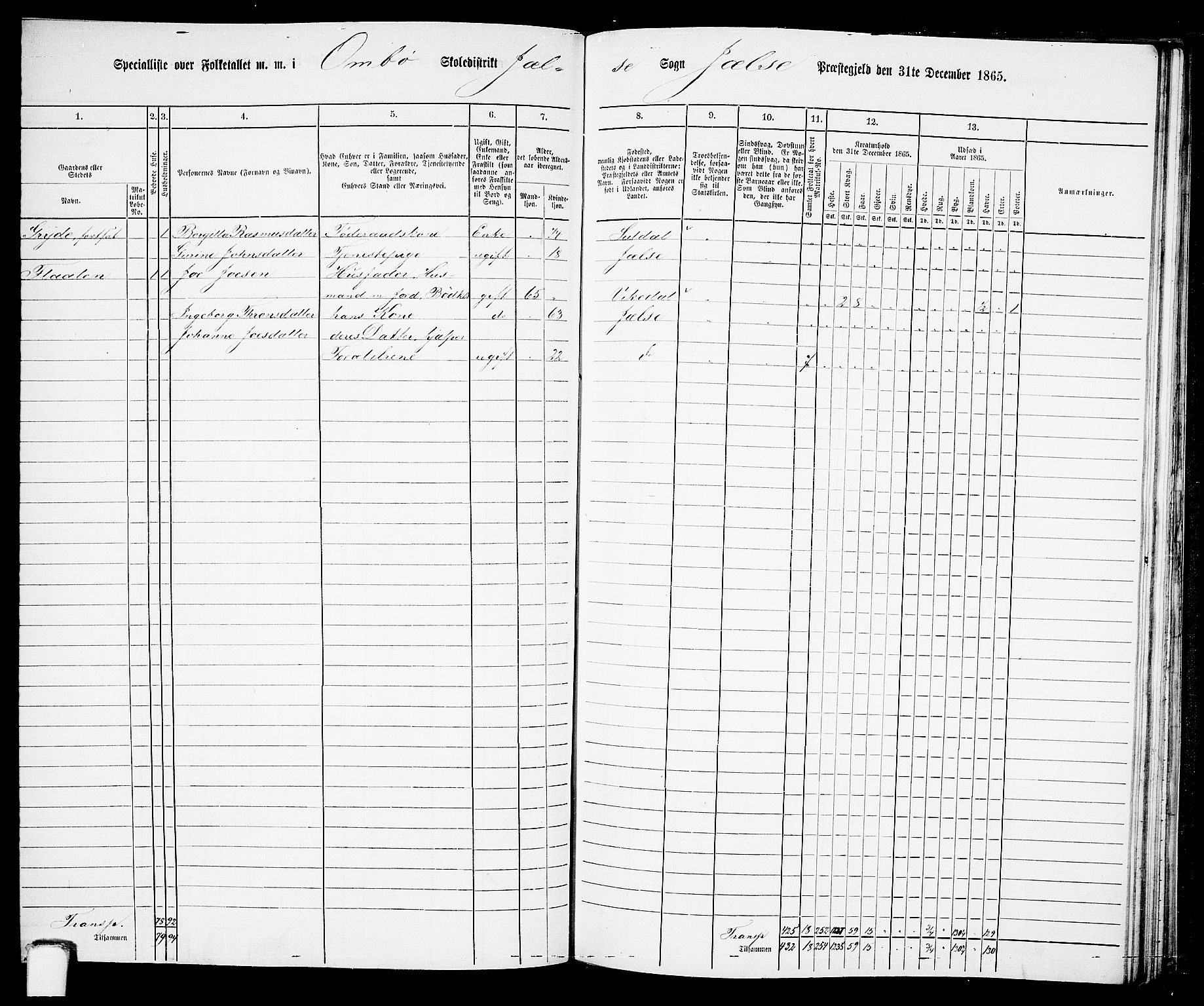 RA, 1865 census for Jelsa, 1865, p. 81