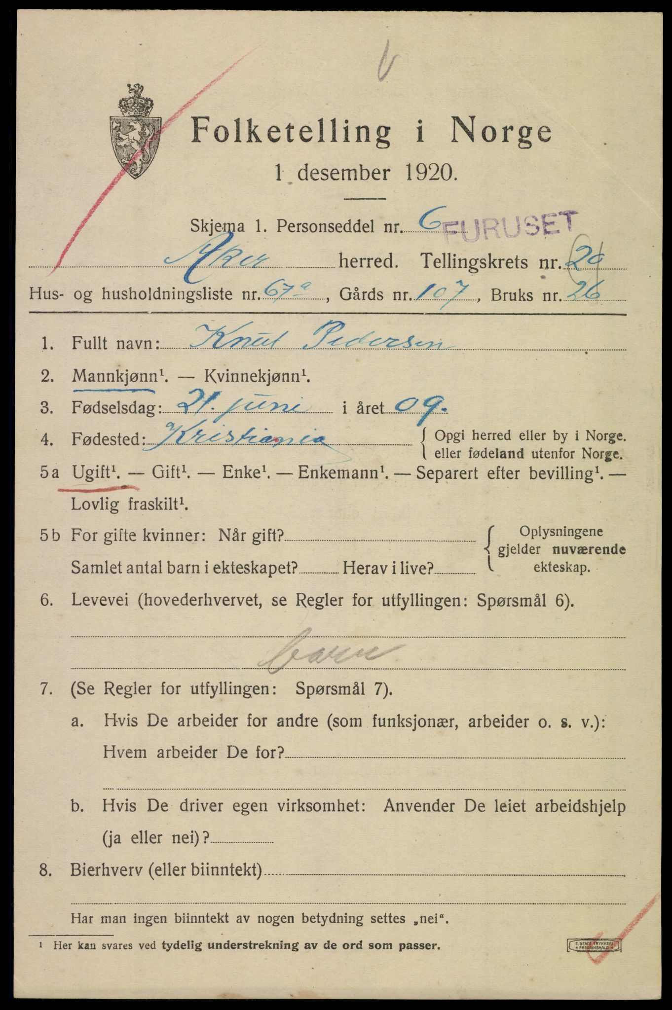 SAO, 1920 census for Aker, 1920, p. 124164