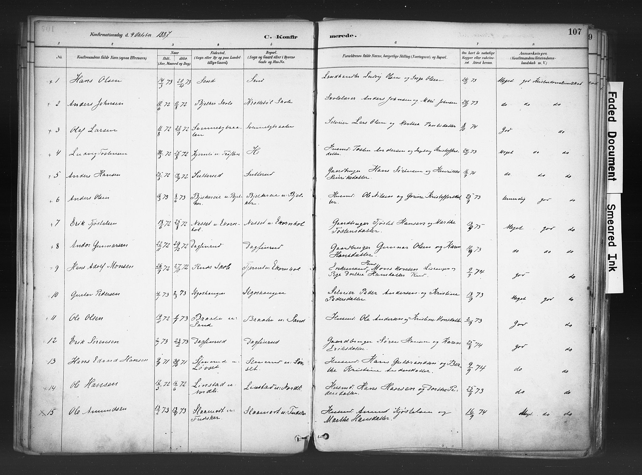 Nord-Odal prestekontor, AV/SAH-PREST-032/H/Ha/Haa/L0006: Parish register (official) no. 6, 1886-1901, p. 107