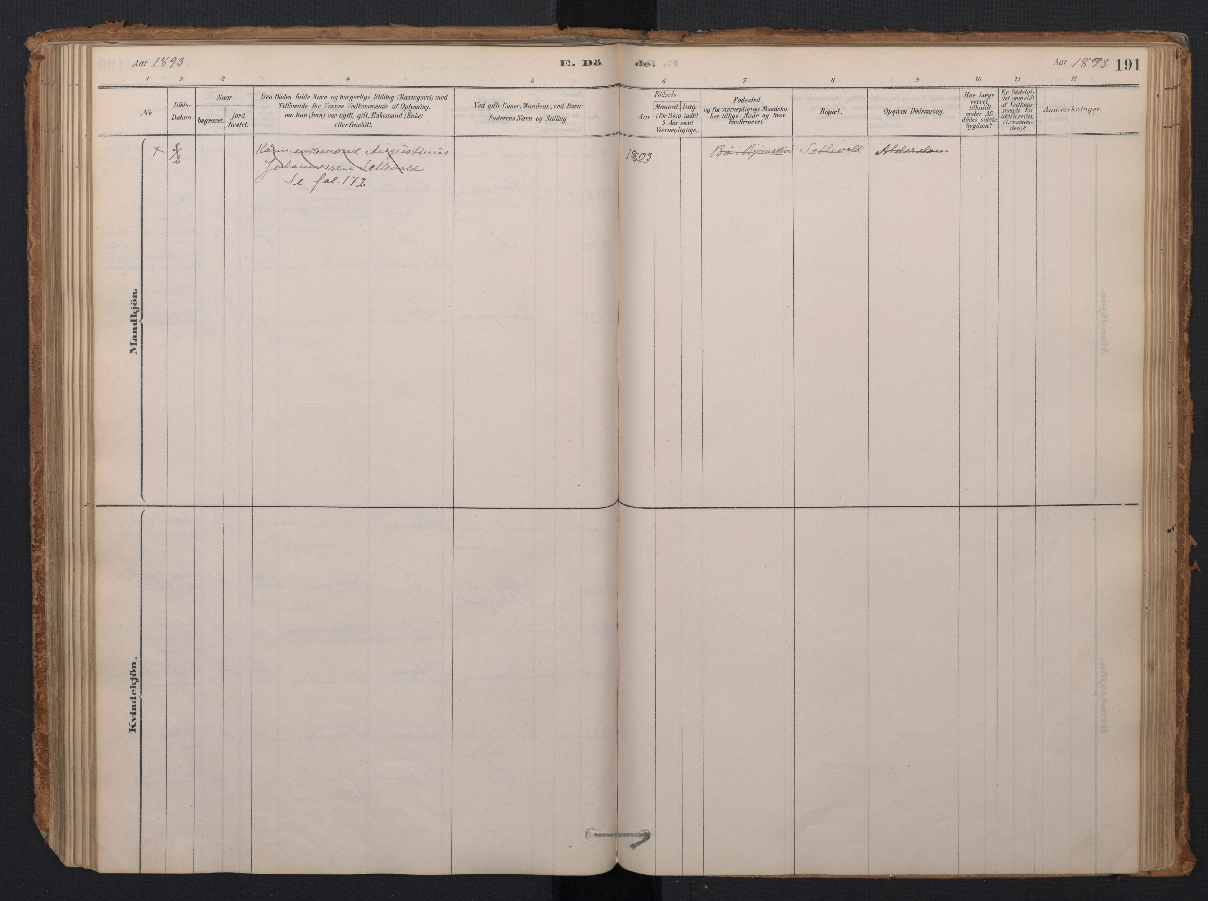 Ministerialprotokoller, klokkerbøker og fødselsregistre - Nordland, AV/SAT-A-1459/897/L1399: Parish register (official) no. 897A06, 1881-1896, p. 191