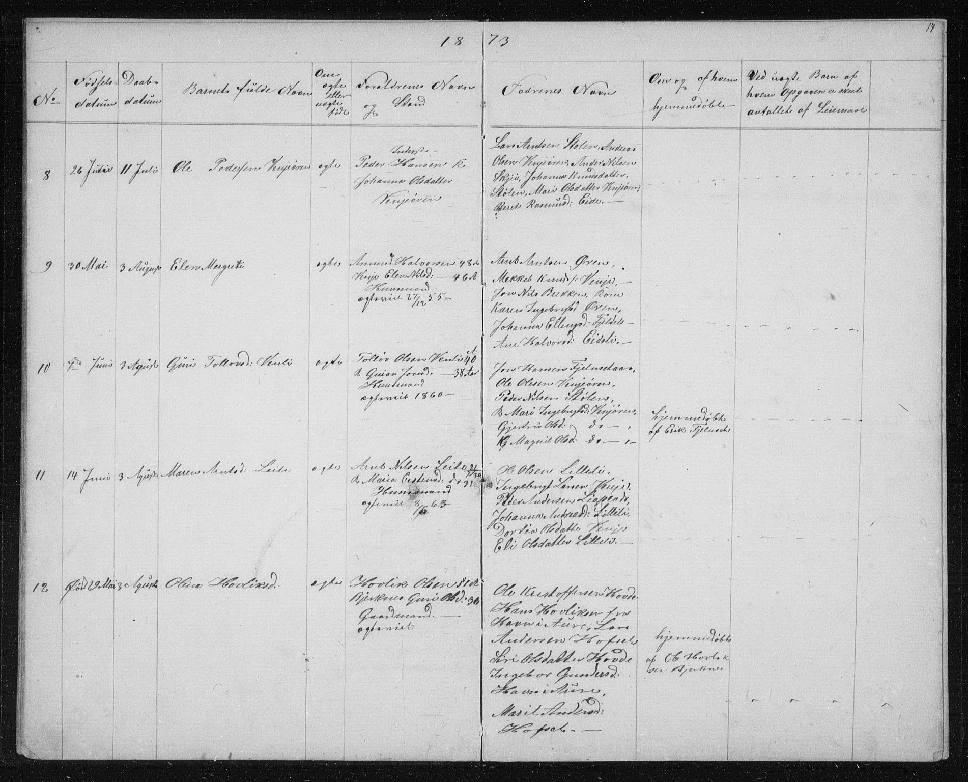 Ministerialprotokoller, klokkerbøker og fødselsregistre - Sør-Trøndelag, AV/SAT-A-1456/631/L0513: Parish register (copy) no. 631C01, 1869-1879, p. 17