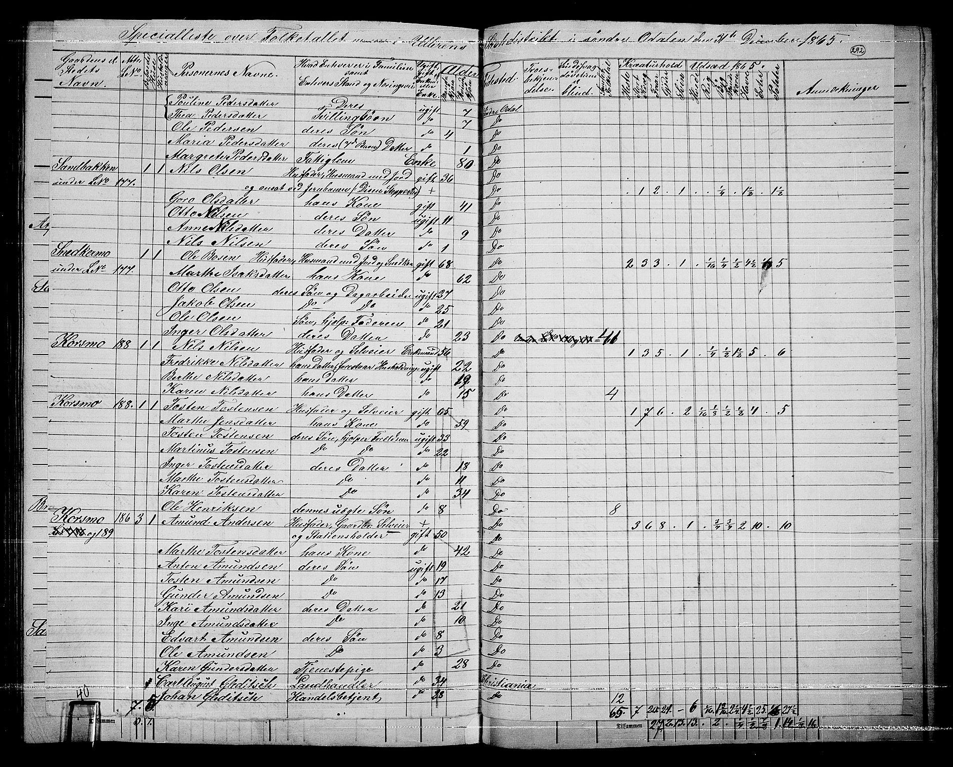 RA, 1865 census for Sør-Odal, 1865, p. 256