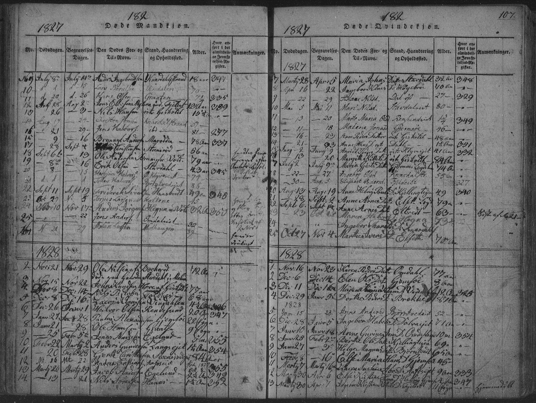 Solum kirkebøker, SAKO/A-306/F/Fa/L0004: Parish register (official) no. I 4, 1814-1833, p. 107