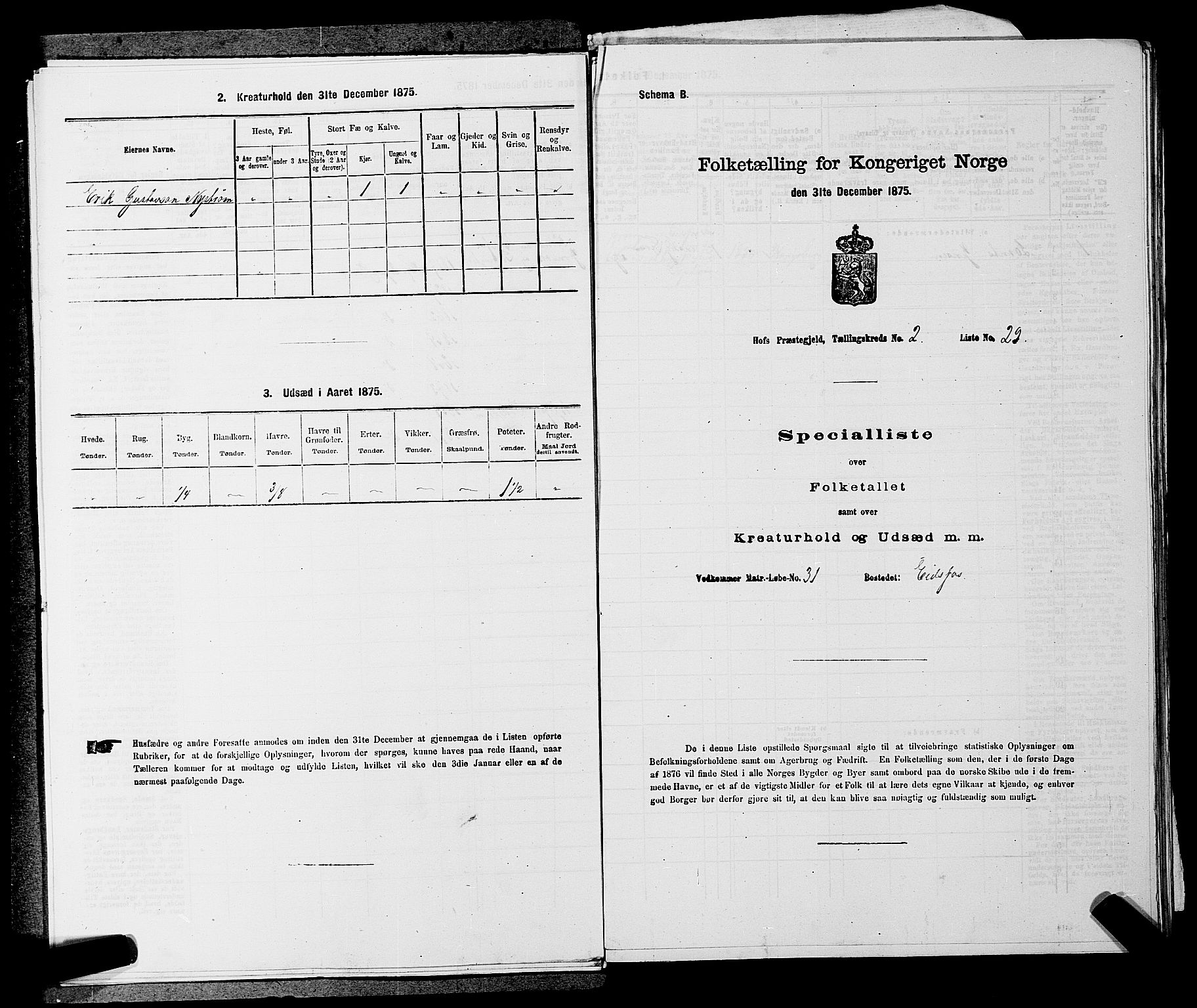 SAKO, 1875 census for 0714P Hof, 1875, p. 202